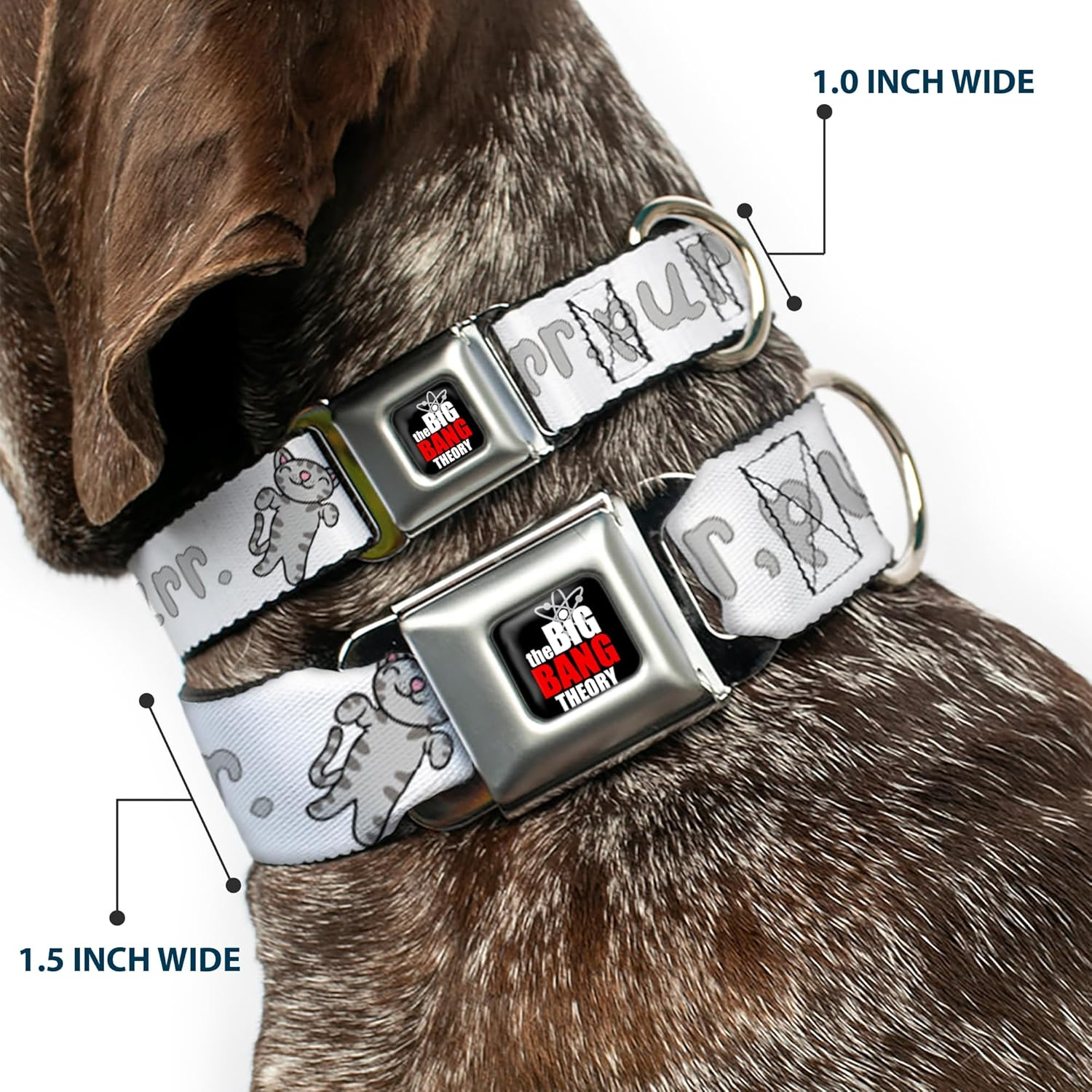 Buckle-Down Seatbelt Buckle Dog Collar - Soft Kitty Purr, Purr, Purr - 1" Wide - Fits 15-26" Neck - Large image number 4