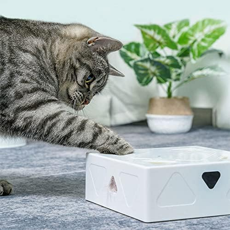 Durable Cat Toys, Automatic Funny Cat Box with 7 Holes Automatic Feather Mice Obsessed Fun Interactive Cat Toy Durable Catnip Toys for Indoor Outdoor/815 (Color : Purple) image number 3