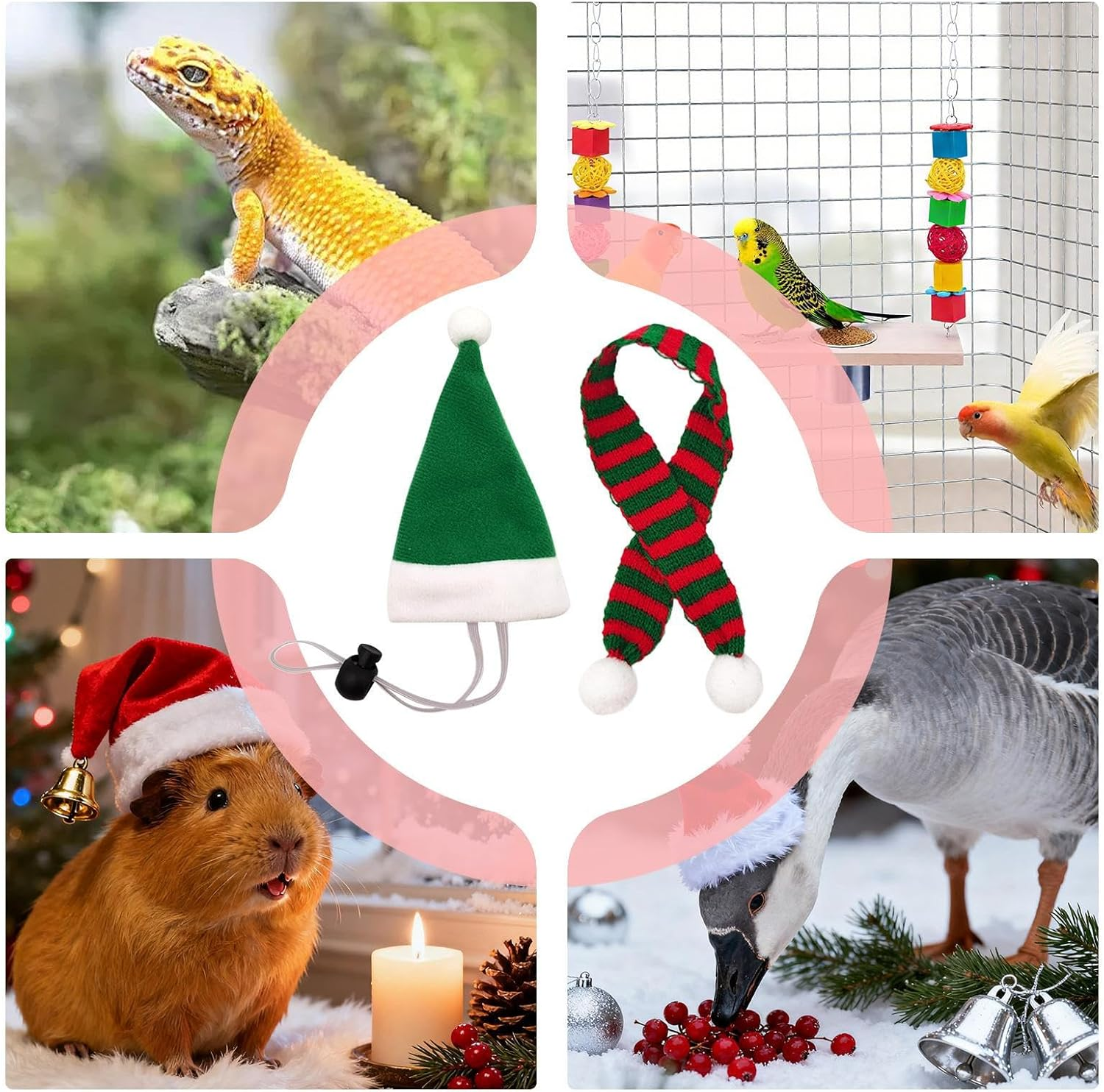 Rrlihjgu Costumes for Chickens,Santa Cosplay Dress up Supplies for Small Pets | Funny Small Hat Tiny Pet Santa Hat with Adjustable Chin Strap,For Hen Hamster Rabbit Kitty Parrot Puppy Lizard Farm - Green image number 3