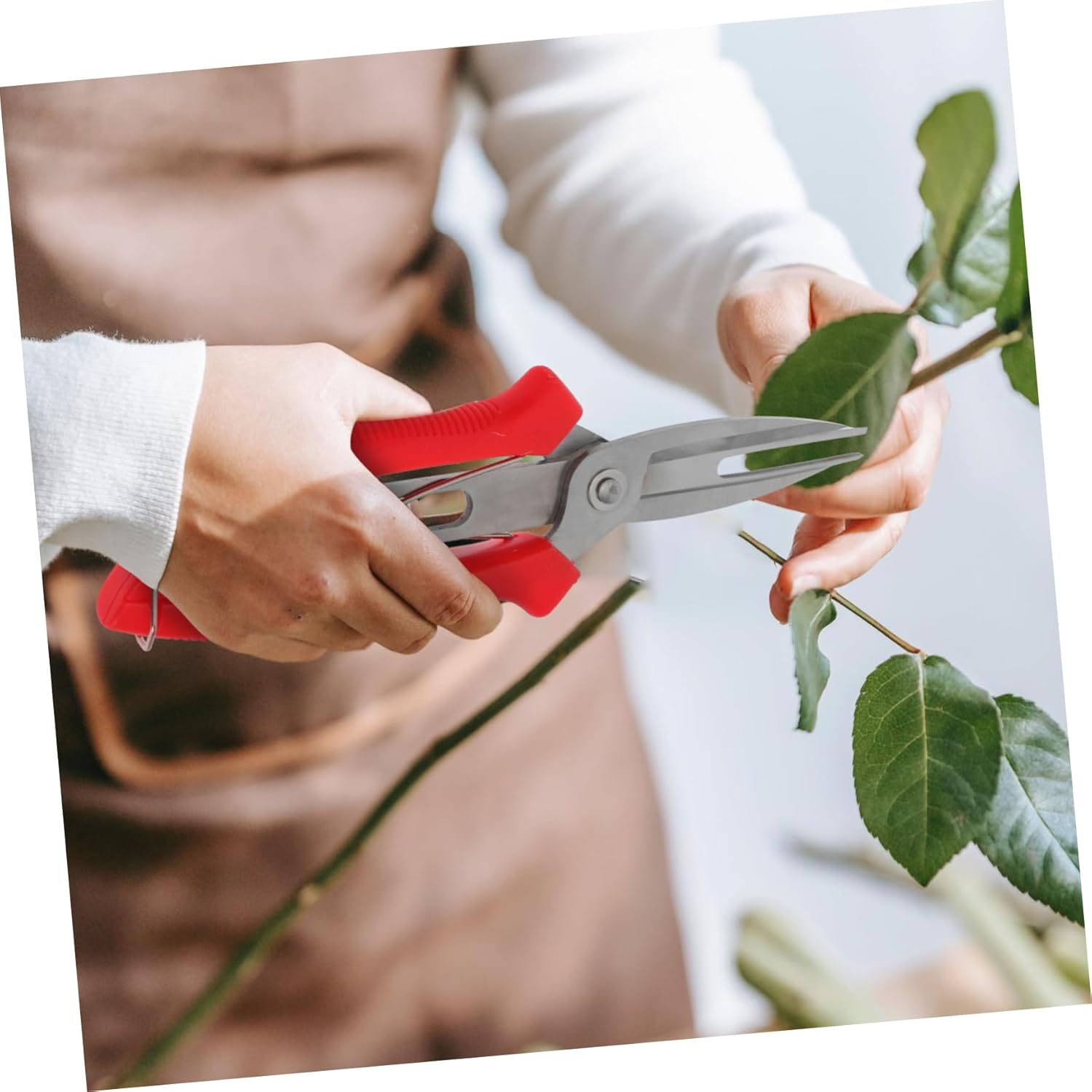 Parliky Pruning Shears for Gardening Pruning Shears Flowers Plants Bonsai Garden Scissors Non-Slip Handle image number 1