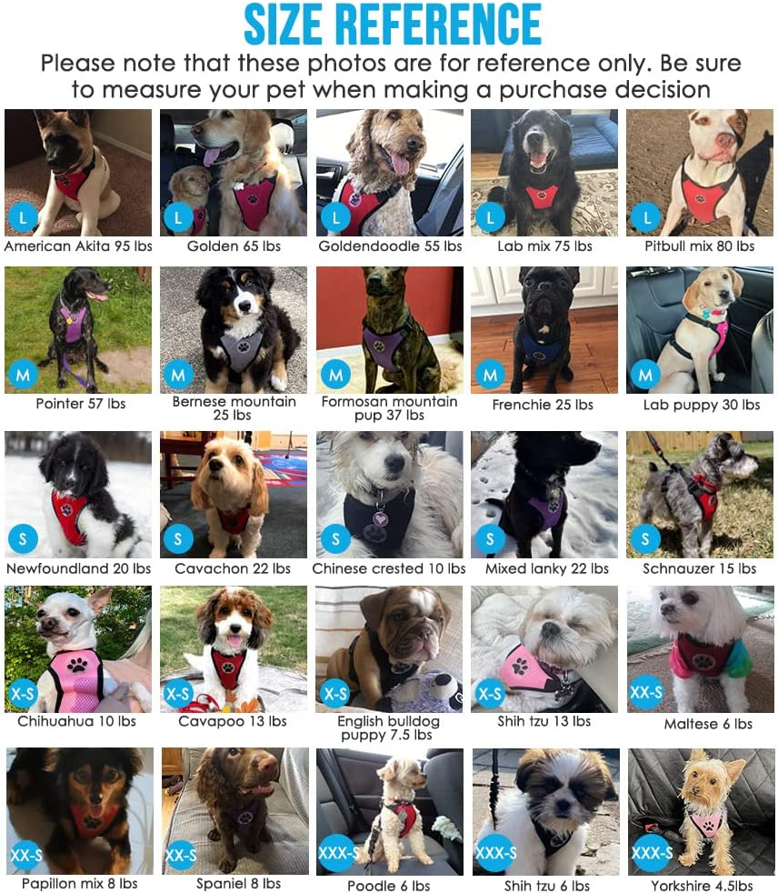 Lukovee Dog Safety Vest Harness with Seatbelt, Dog Car Harness Seat Belt Adjustable Pet Harnesses Double Breathable Mesh Fabric with Car Vehicle Connector Strap for Dog (Medium, Purple Seatbelt)