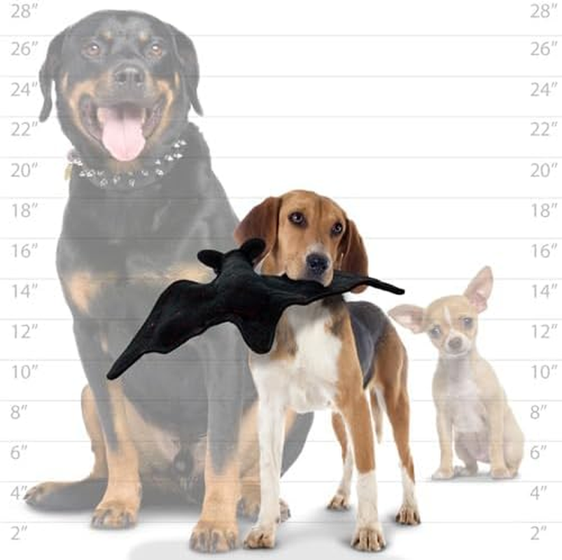 TUFFY Desert Bat, Durable Dog Toy image number 3