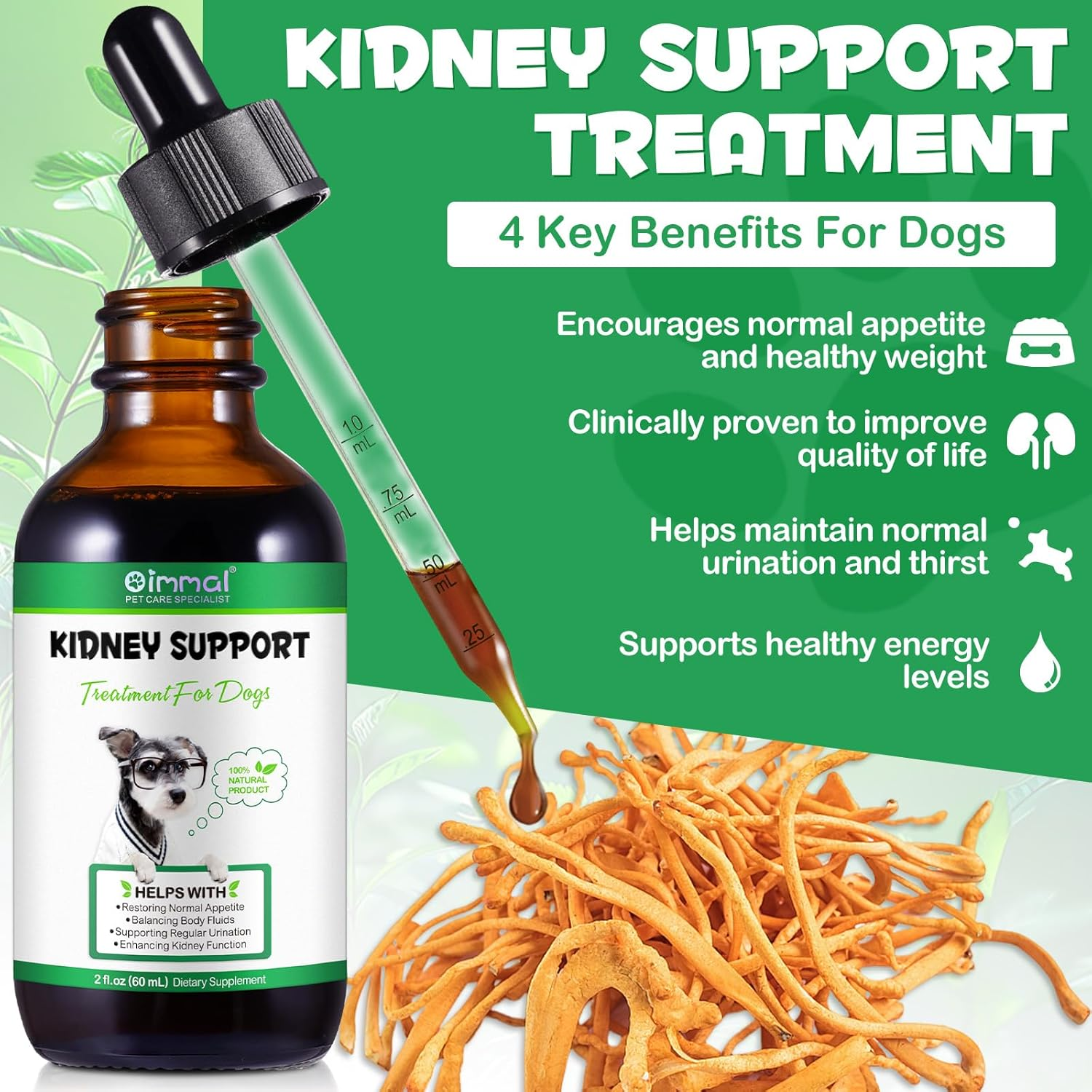 Kidney Support for Dogs, Pet Kidney Support Supplement, Herbal Kidney Care Drops, Healthy Kidney Function, Restoring Normal Appetite 2 Oz