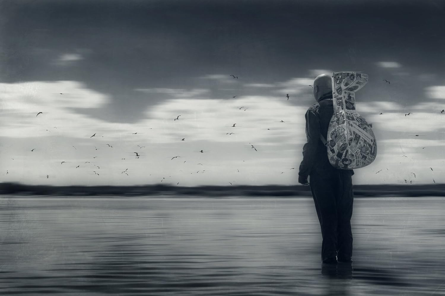 Birds Requiem image number 3