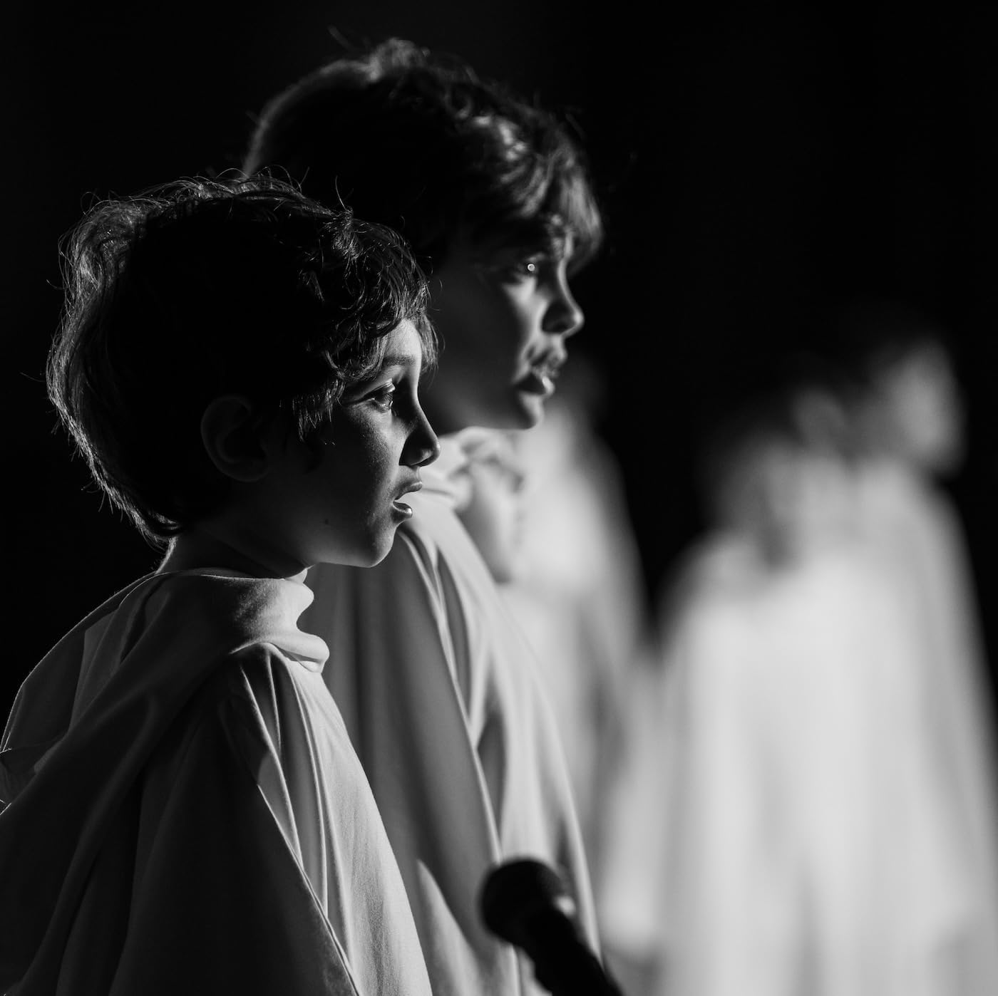 Dream Dream image number 1