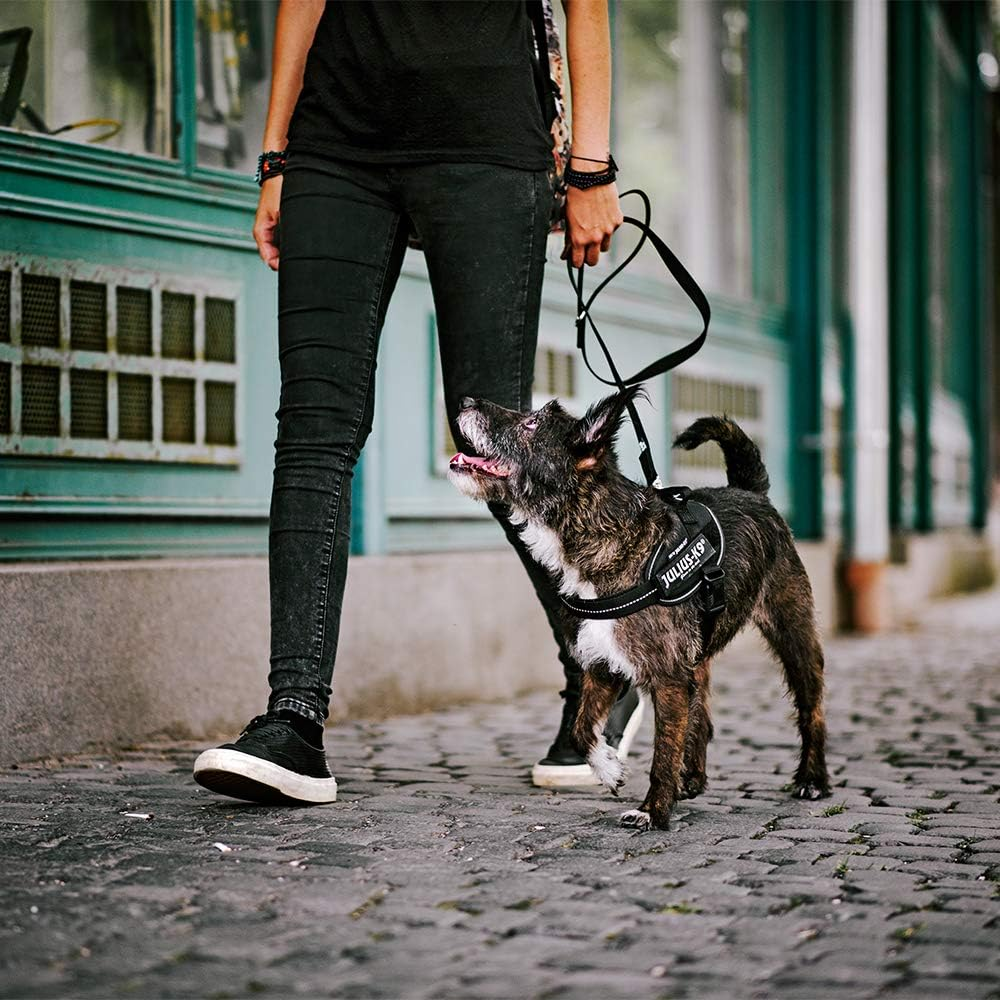 IDC Powerharness, Size: L/1, Black image number 2