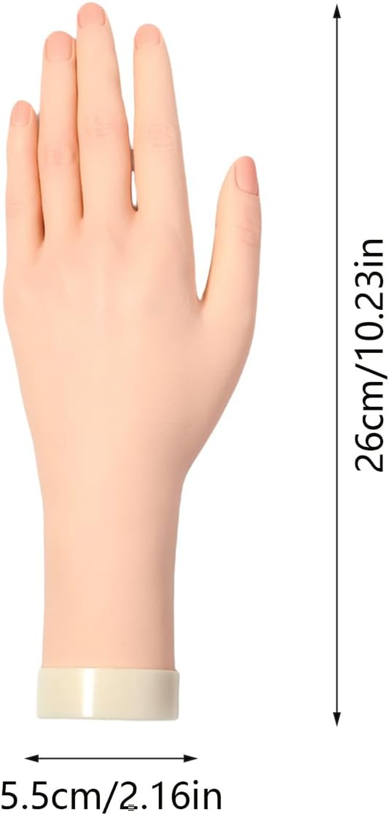 Ylnailky Fake Hand for Nails - Fake Nail Hand - Silicone Soft Fingers Model with Jelly Glue Suction Cup Beginner-Friendly for Student Education Women Salon Demonstration image number 3