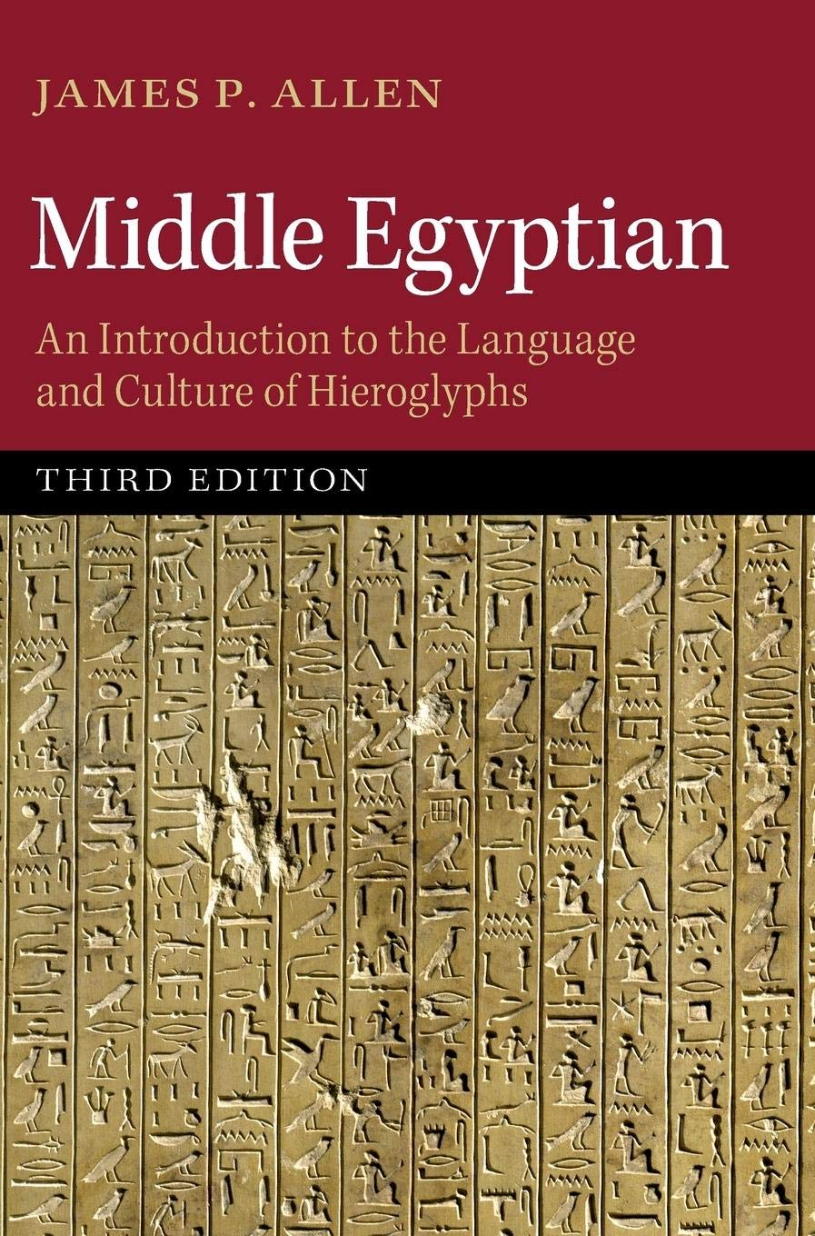 Middle Egyptian: an Introduction to the Language and Culture of Hieroglyphs image number 1