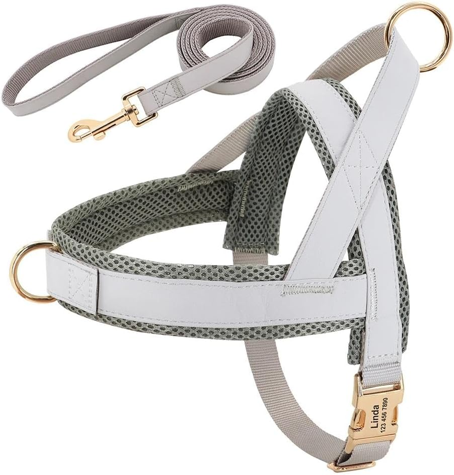 Custom Engraved Dog Harness and Leash Set Personalized Dog Harness Leash Set Padded Dog Harness and Leash Set Anti-Lost ID Name Dog Harness and Leash Set,Gray,Xs image number 3