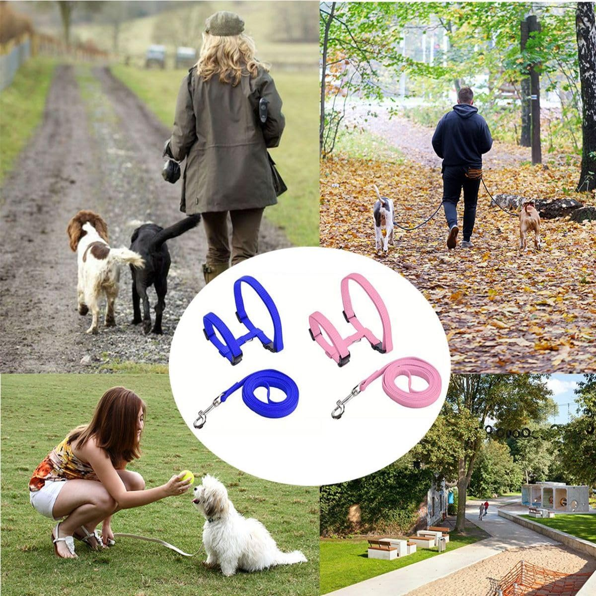 Pack of 2 Adjustable Nylon Harnesses, Cat Lead, Harness, Cat Lead, Kitten Collar, Soft Cat Harness with Lead for Kittens, Puppies, Rabbits (Blue and Pink)