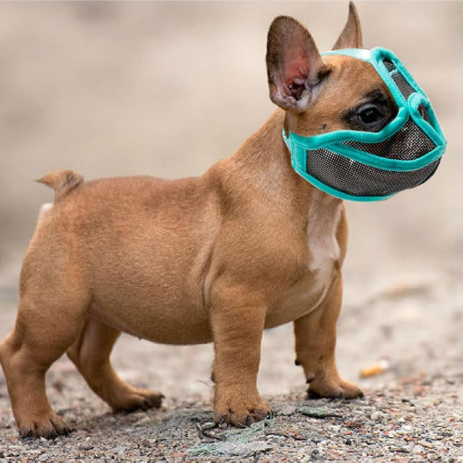 French Bulldog Muzzle, Muzzle for French Bulldog, Frenchie Muzzle, Bulldog Muzzle Breathable Adjustable Mesh Mask for Flat Faced Dog anti Bitting Chewing Barking (S)