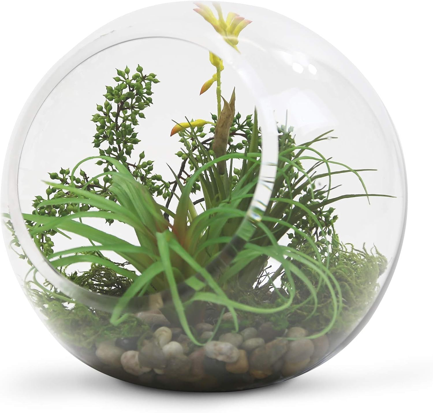 WGV Slant Cut Bowl Glass Vase, Width 9", Height 9", Clear round Globe Planter Terrarium Orb, Candy Dish, Fruit Jar, Floral Container for Home Office Decor, 1 Piece image number 4