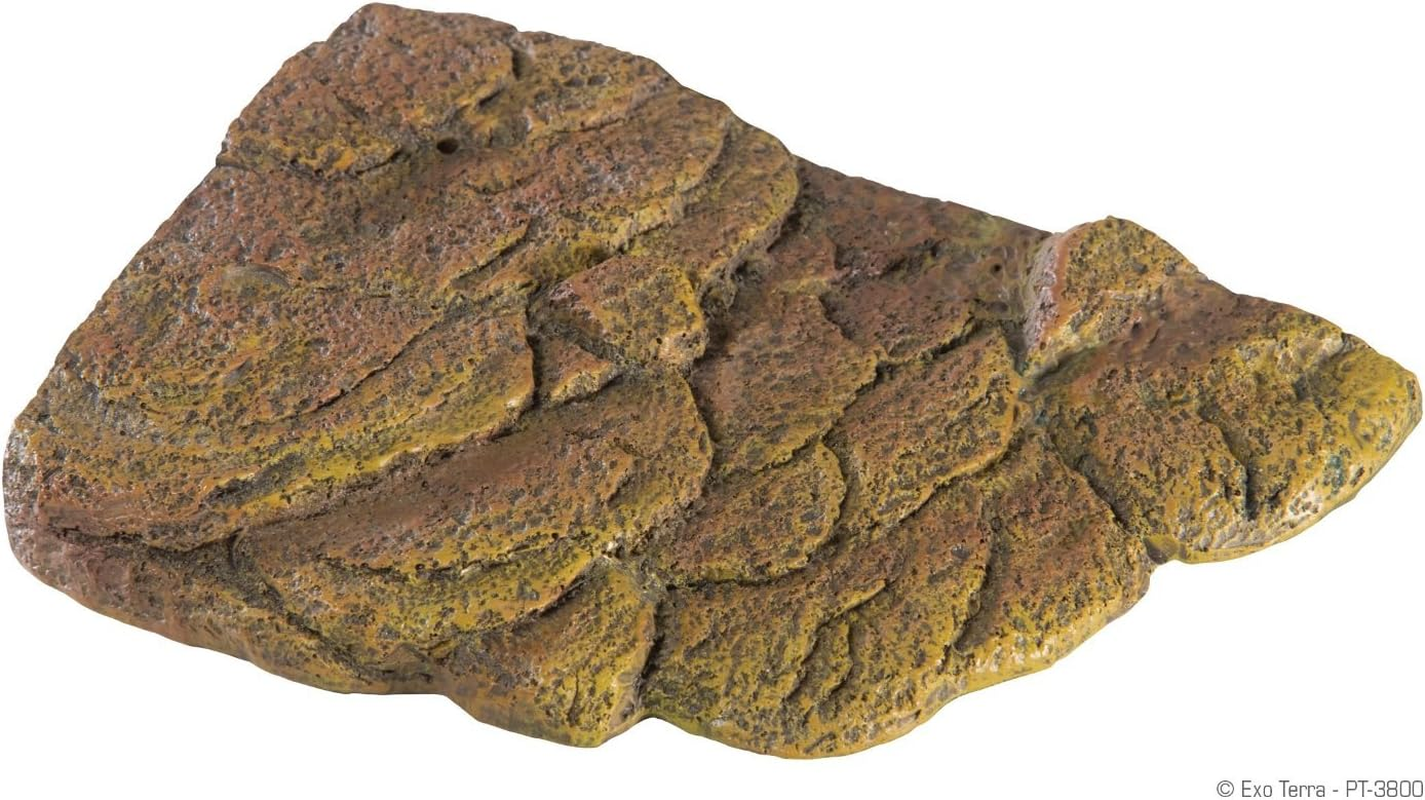 Exo Terra Turtle Bank - Small - M (Pack Of 1) image number 5