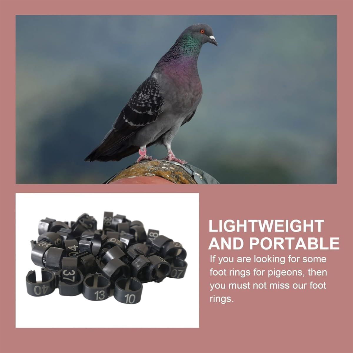 AIMALL 100 PCS Pigeon Bayonet Digital Foot Ring, 10Mm Pigeon Leg Band for Breeding and Racing, Durable Plastic Material, Easy to Use - Dark Blue image number 3