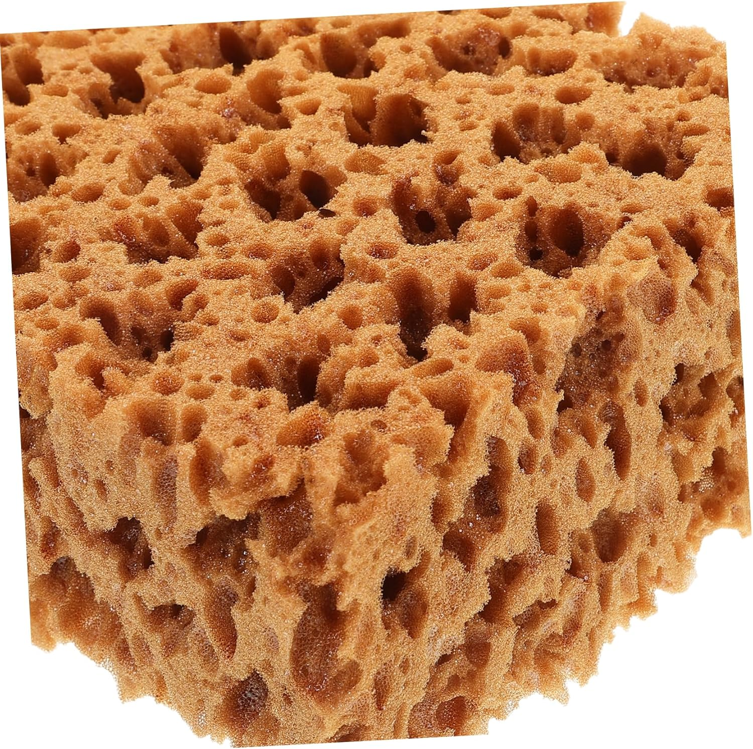 VICASKY Paint Brush Tools Natural Sea Sponge for Texture Painting Walls Furniture Crafts Artist Sponge Soft Bristles image number 1