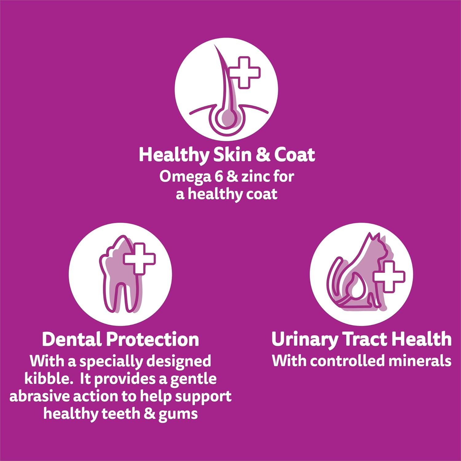 Whiskas Beef and Lamb Adult Dry Cat Food 800 G Bag, 6 Pack image number 5