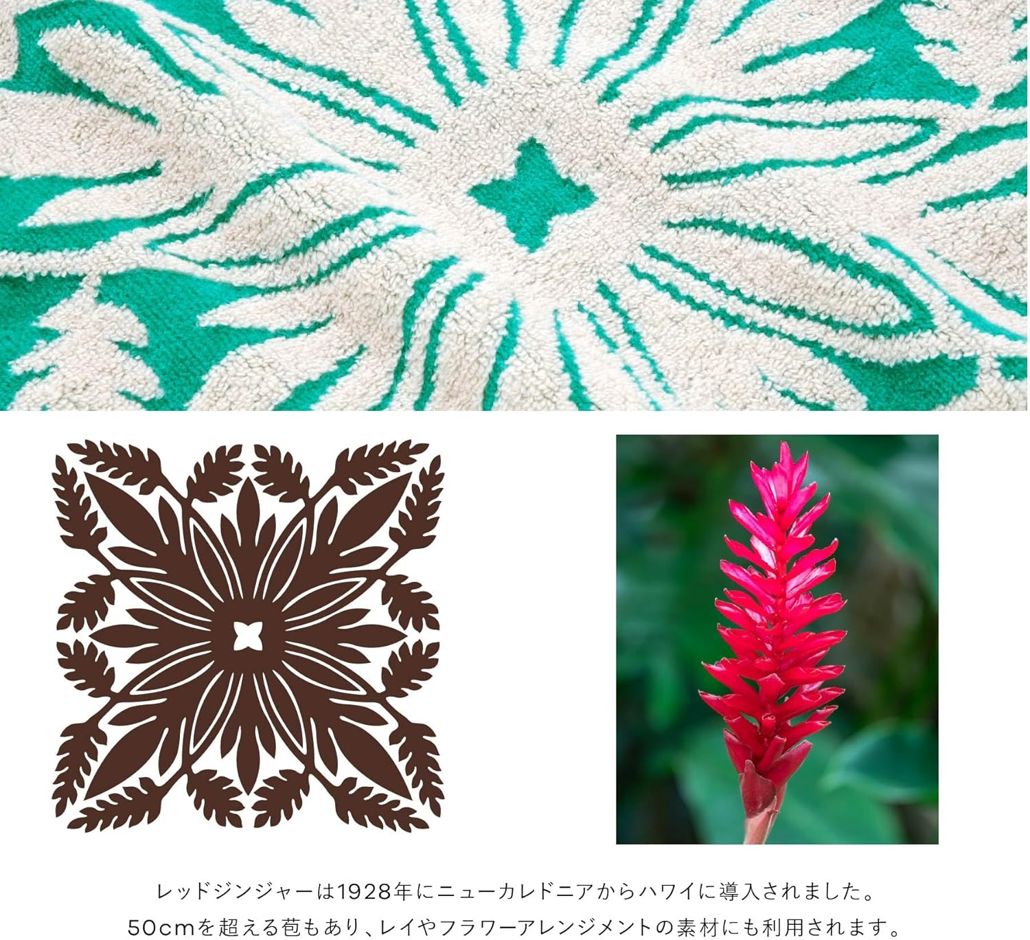 Kathymum Island Style Drawstring Pouch, Nohair Series 23903004 Pouch, Women'S, 23903004B, Emerald [B] Red Ginger Emerald, Approx. Width 9.8 X Height 7.9 X Depth 5.5 Inches (25 X 20 X 14 Cm) image number 2