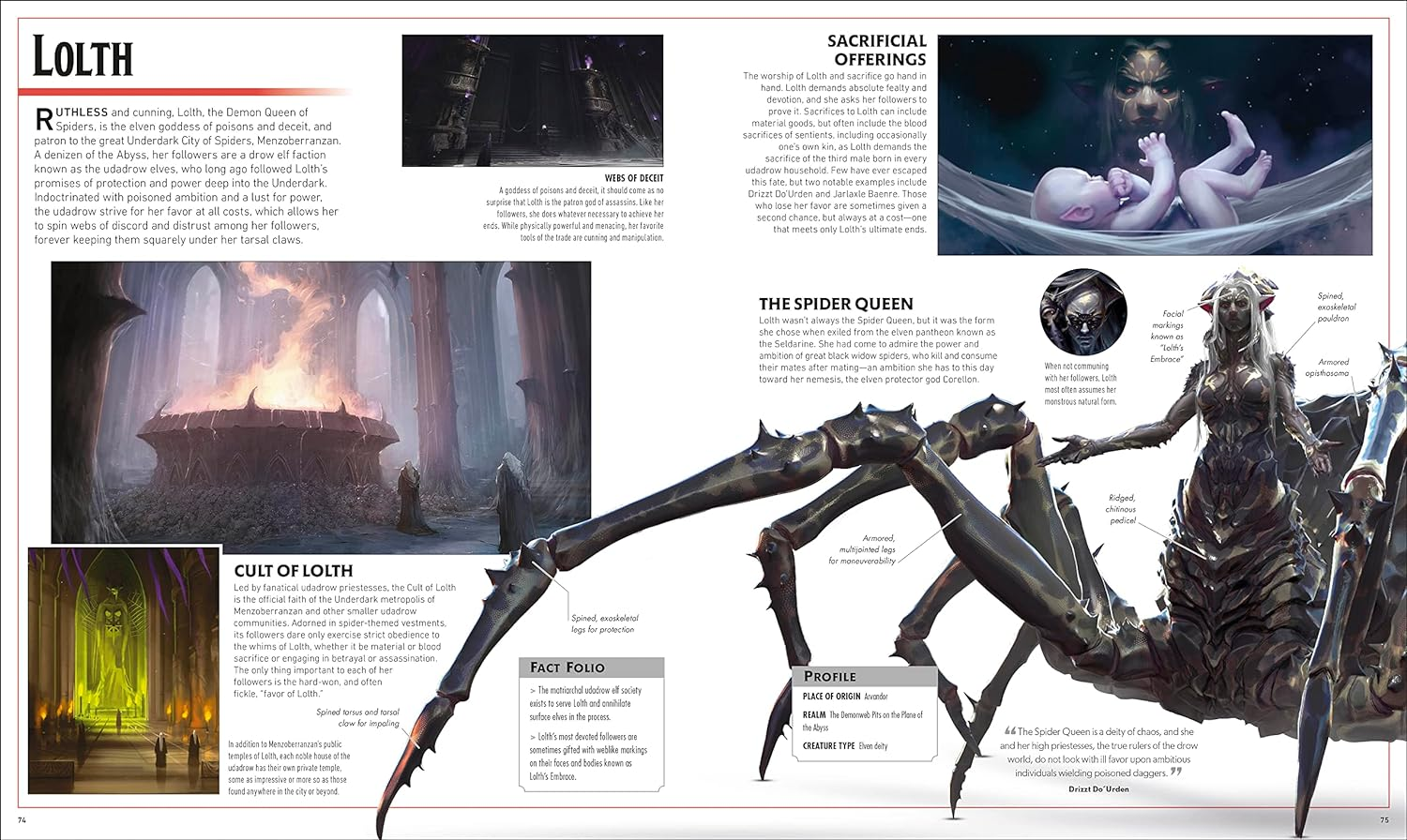 Dungeons & Dragons the Legend of Drizzt Visual Dictionary image number 5