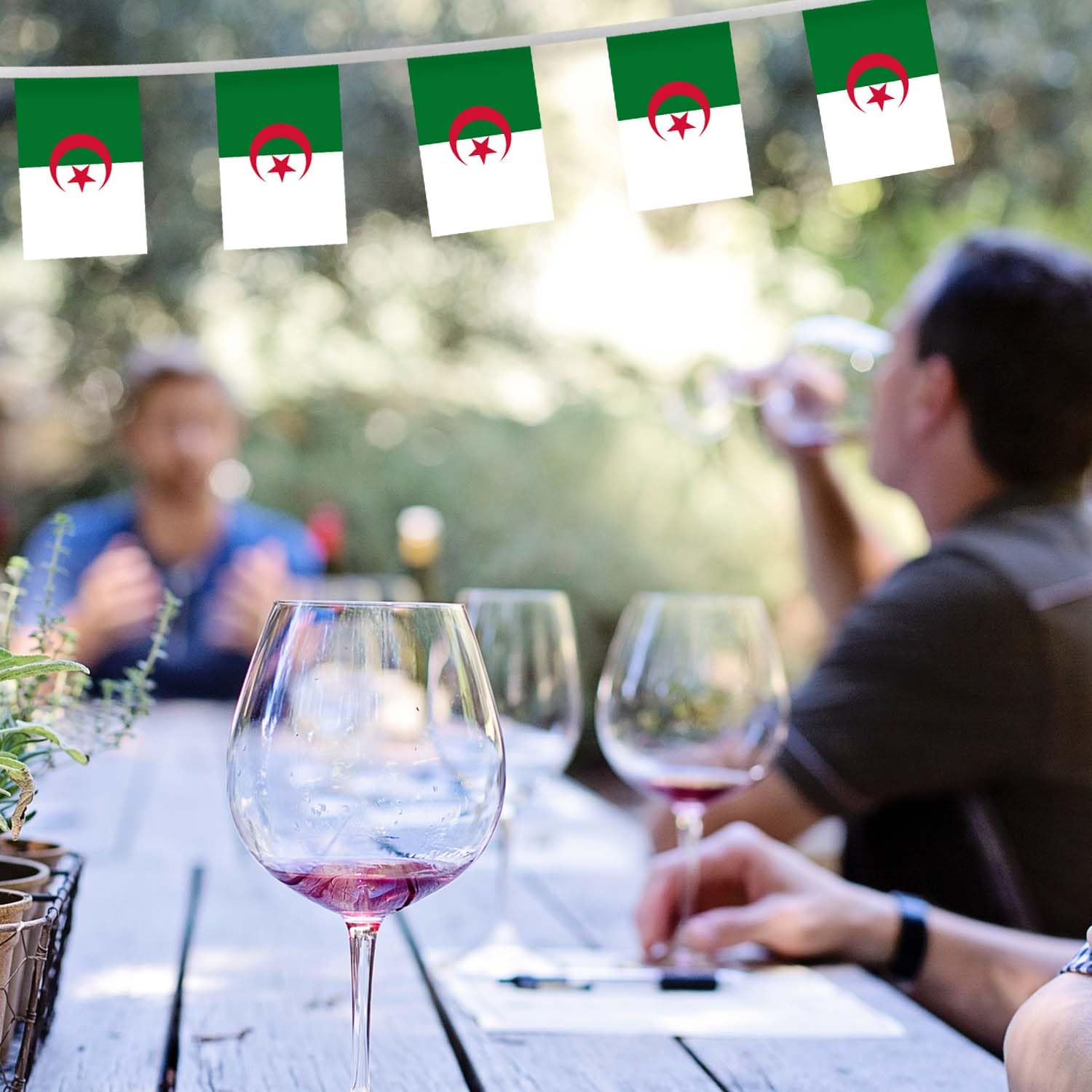 32FT Small Algeria Pennant Flag Bunting,30 PCS Mini String Banner Strip Algerian National Decor Rectangle for Holiday Restaurant Home Party School image number 2