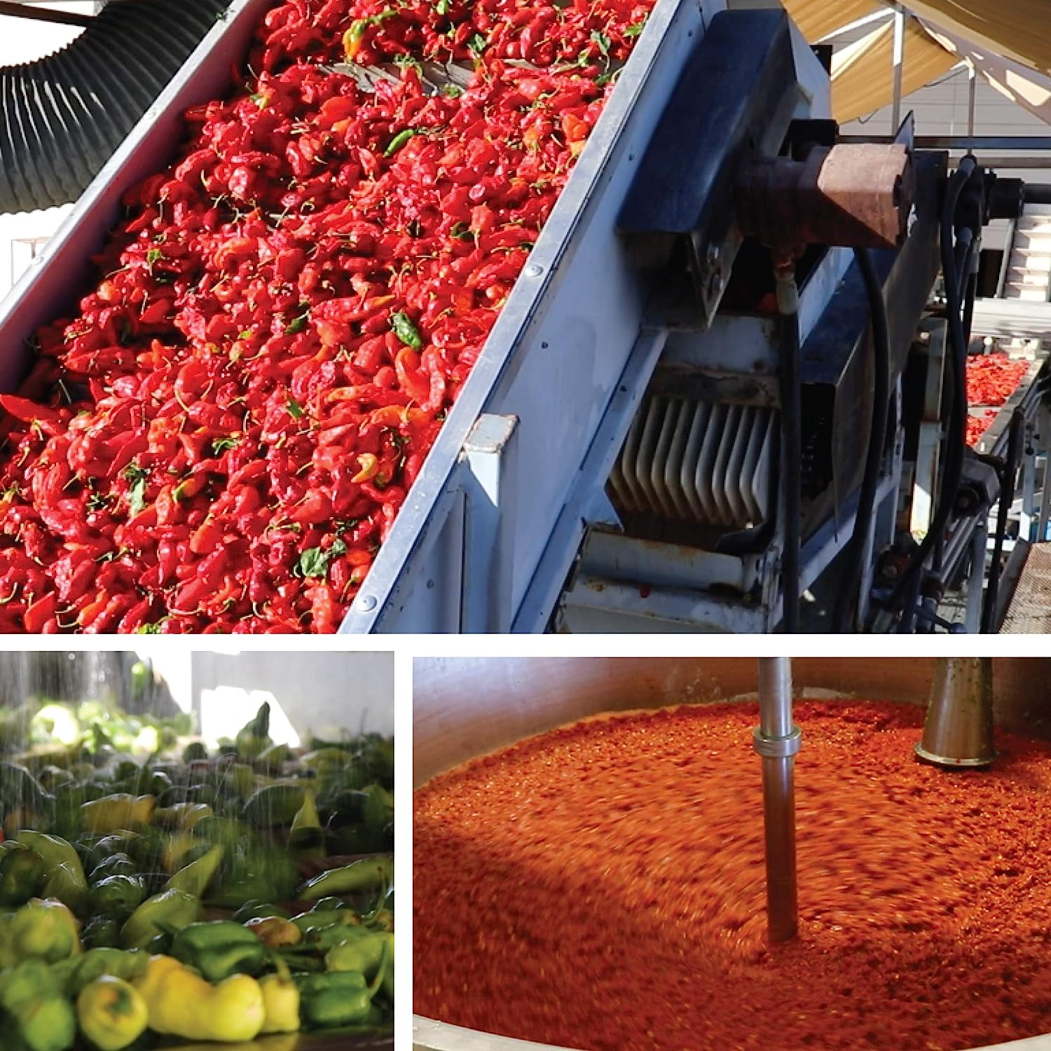 Pure Bred Idiot - Hot Sauce Roulette Game - 12-0.75 Ounce Bottles Hot Sauce Gift Set - Perfect Premium Gourmet Gag Gifts for Men - Spicy Challenge Hot Sauce Sampler image number 3