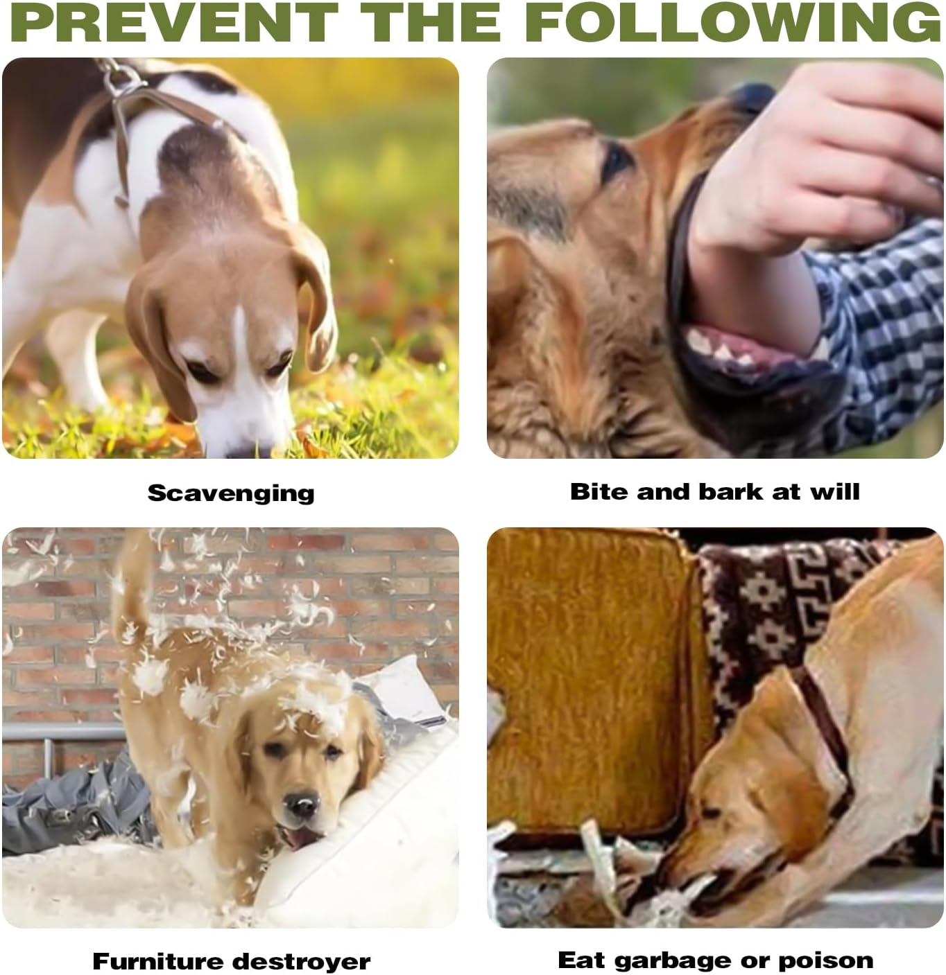 Muzzle for Dogs, Mesh Dog Muzzle for Dogs with Rounded Mesh, Dog Muzzle to Prevent Eating, Biting, Chewing, Muzzle for Small, Medium and Large Dogs (L) image number 6