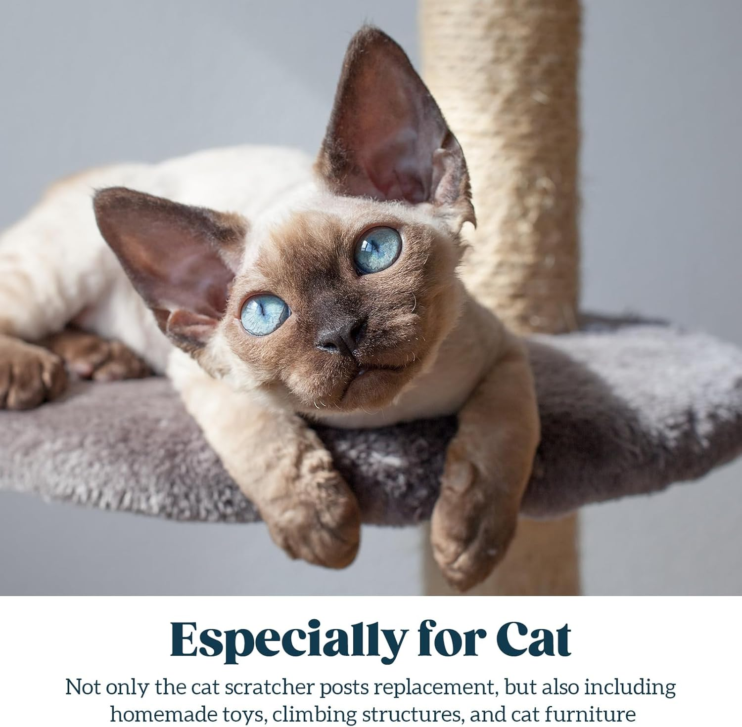 PELZIN Natural Sisal Rope for Cat Scratcher 6Mm X 30M, Cat Scratching Post Replacement Rope, Cat Tree Twine for Scratching Post Repair, Recover, Replace and DIY, Natural image number 6