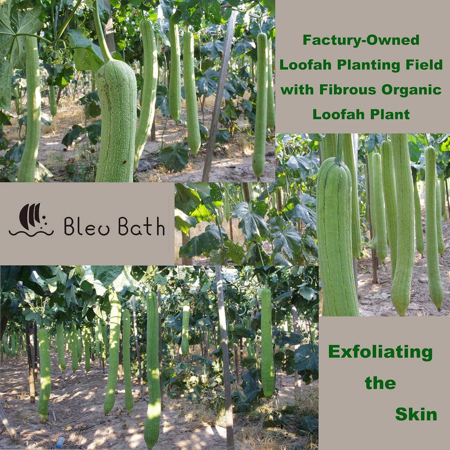 (20 PACK) Mini-Sided Exfoliating Complexion Pure Loofah Face Pad Renewable Shower Scrubber Sponge Smooth Disc Pad Scrubber Makeup Cleanser Pad image number 3