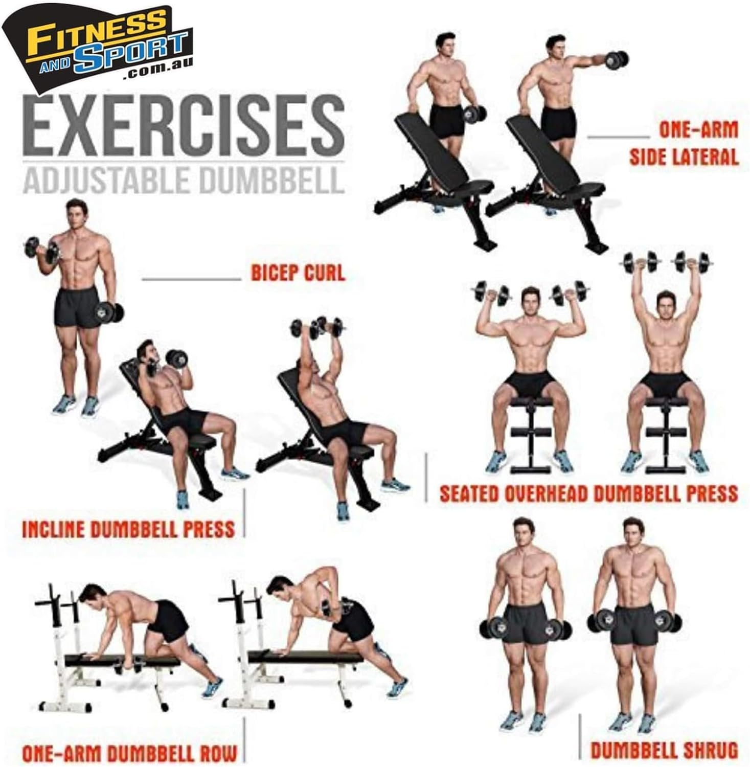 HCE Adjustable Dumbbells Set,20Kg - 50Kg Standard Steel Bars Pair with Cast-Iron Hammertone Weight Plates Set Home Gym Equipment for Body Building Weightlifting image number 4