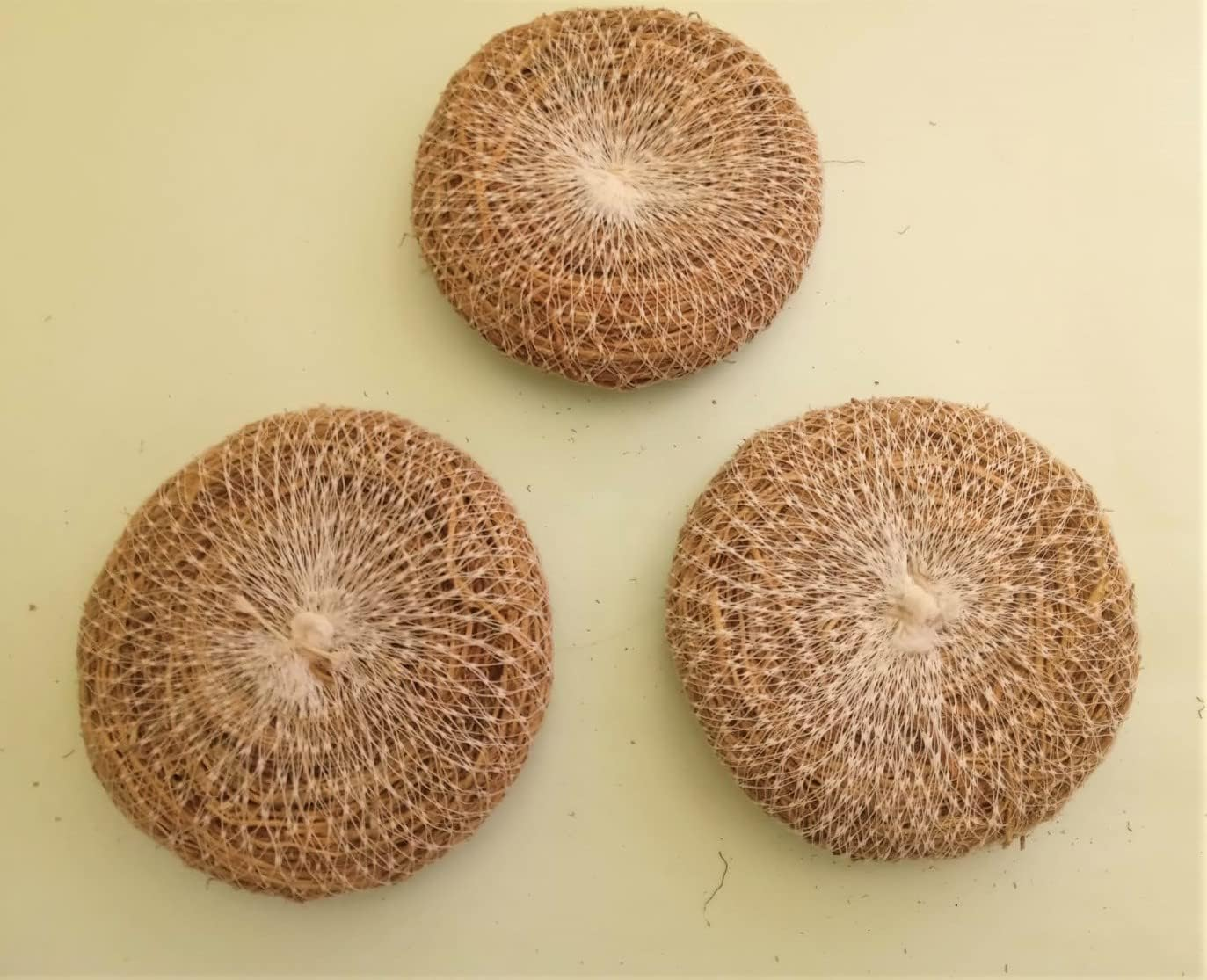 Vetiver (Khus) Ramacham Root Stress Relief Natural Body Coolant Natural Fragrance_Organic Body Bathing Scrubber Pack of 3 image number 3