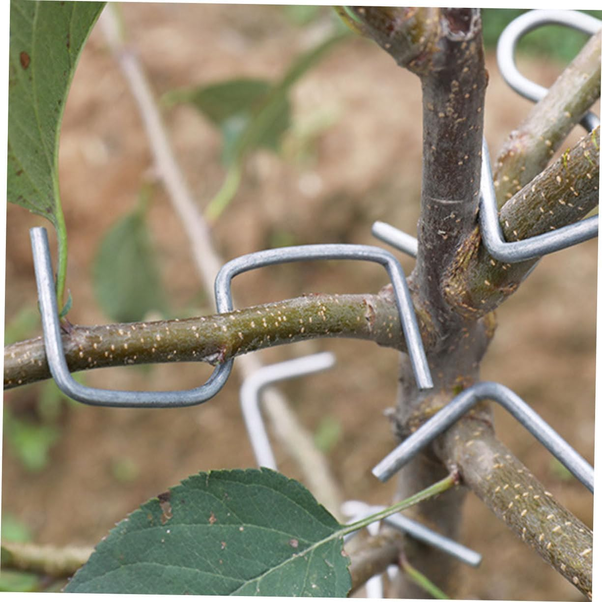 VINTORKY Tree Trunk Moderator Branch Bending Fixing Tool Fruit Branch Puller Plant Supplies Tie Stick Shaper image number 2