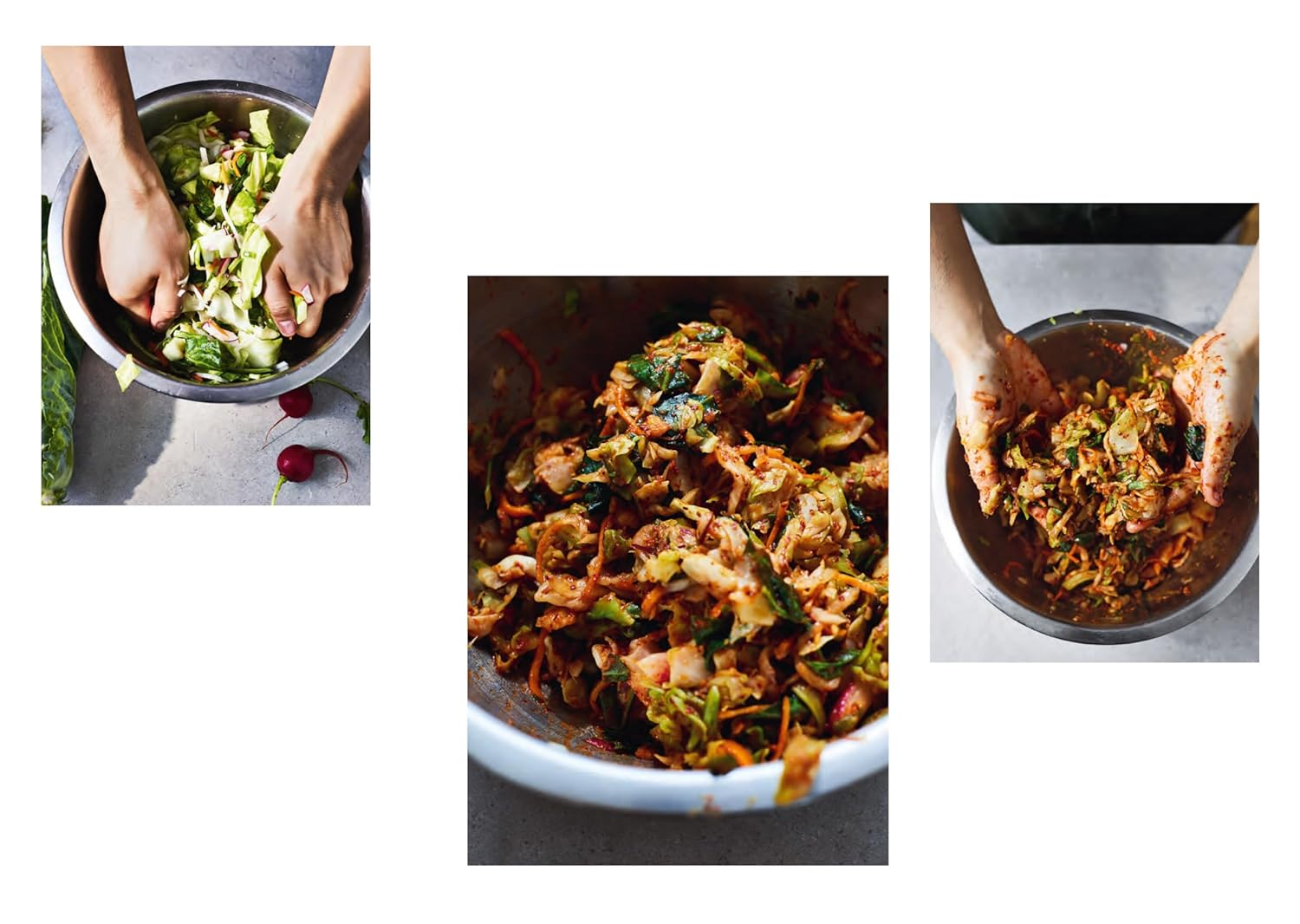 FERMENT FERMENT image number 5