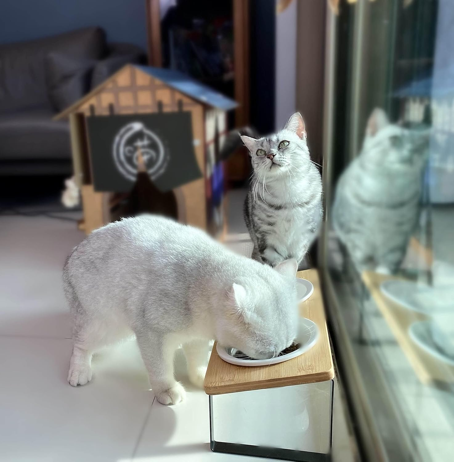 MEKAPLE Ceramic Elevated Cat Bowls, Elevated Puppy Bowls for Food & Water &ndash; 5.5-Inch Wide Bamboo Stand with Tilted Design to Prevent Vomiting, Orthopedic Double Dish for Indoor Use (Wooden Finish)