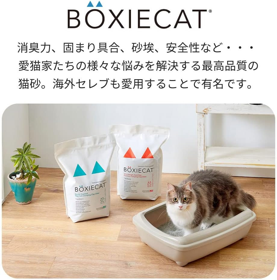 OFT Blue Boxy Cat Litter, 15.7 Lbs (7.2 Kg), Hardening, Bentonite, Unscented, Colorless, Natural Antibacterial Sand, Prevents Odor, Dust Resistant, Recommended by Veterinarians image number 1