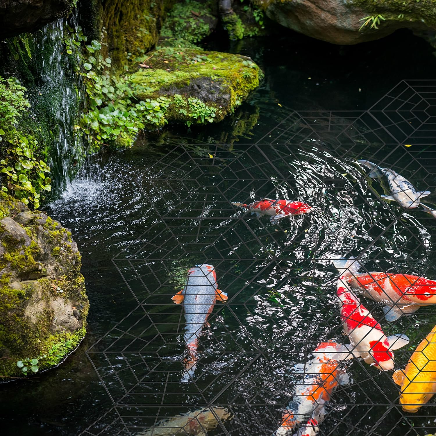 Katai 20 Pack Plastic Pond Guard Net Protector. Floating Heron Deterrent Complete with 2 Garden Plant Ties image number 2