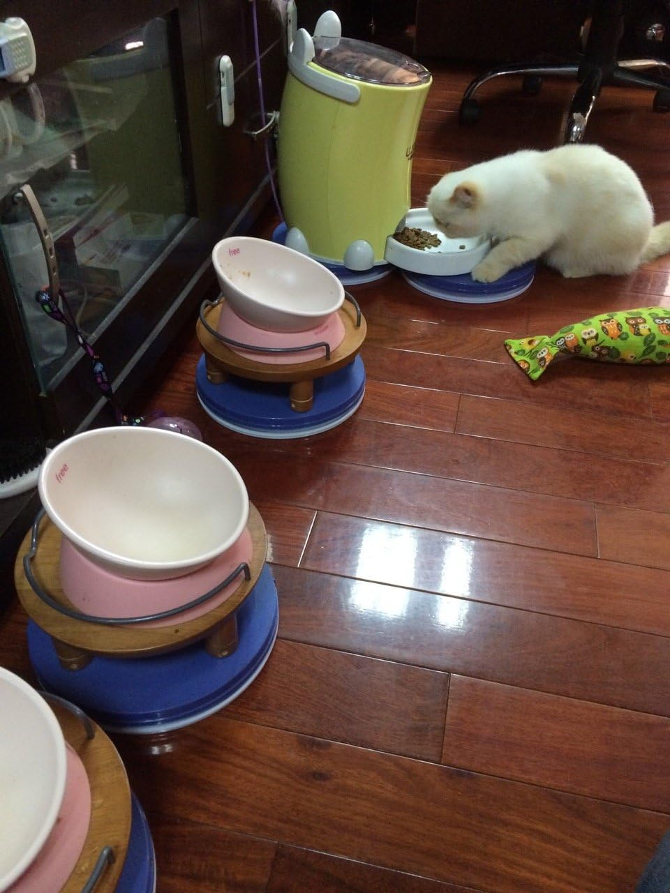 Yuwoda Ant Proof Cat Dog Bowl Tray - Ant Away Pet Food Dish Safe Ant Away Indoor No Chemical No Water Needed image number 4