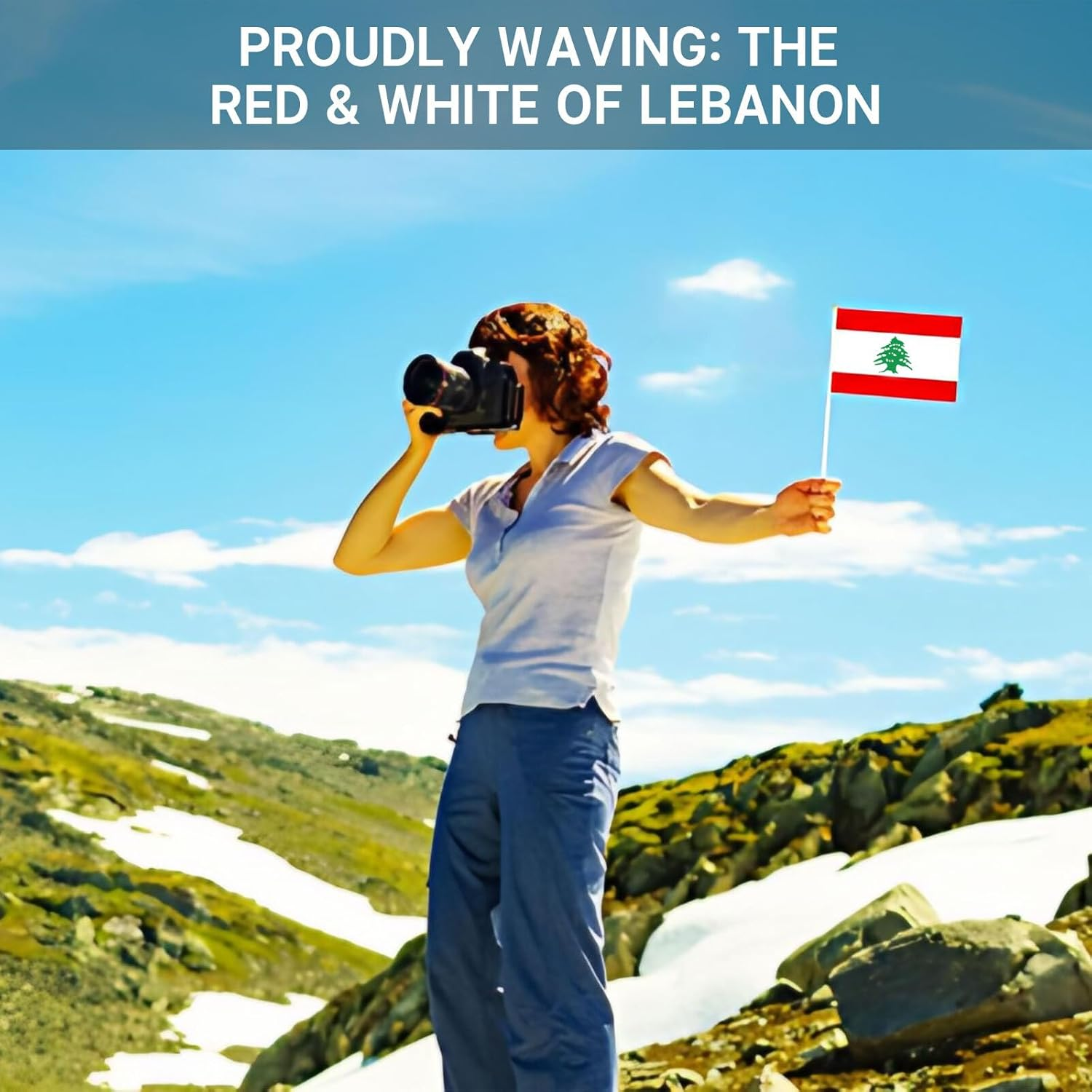 Lyvixora ​10 PCS Lebanese Flag Handheld Mini Flags - Lebanon National Country Flags for Party Decorations Supplies (21Cmx14Cm) image number 1