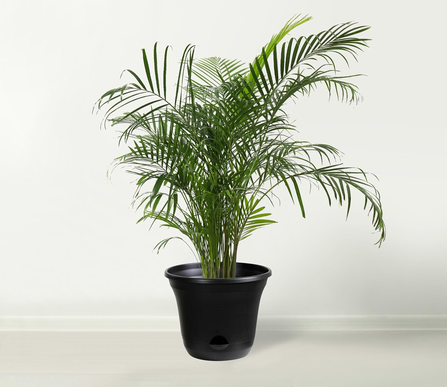 San Marino Lazy Planters - Self Watering Plant Pot Charcoal - Large Planter - Indoor & Outdoor (1 X 35Cm) image number 1