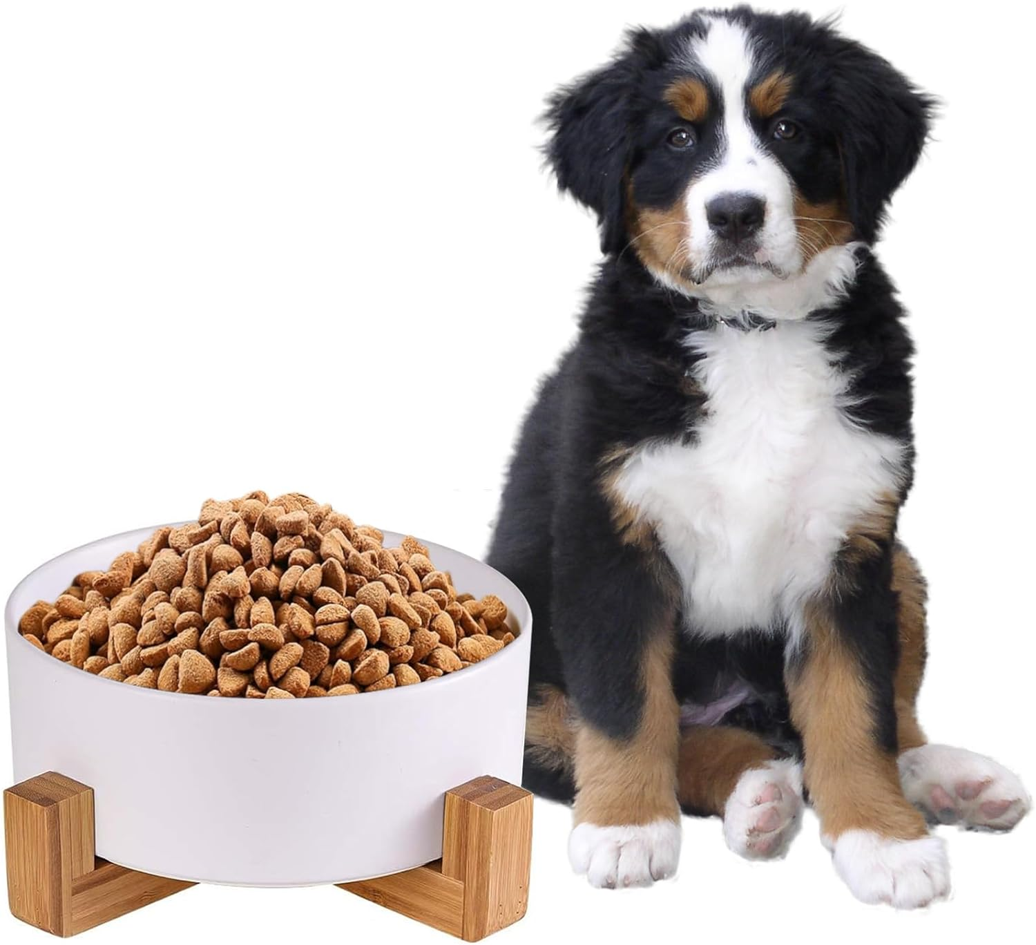 Ceramic Dog Bowl 28OZ with Wood Stand, PRENDIEEN Durable Ceramic Food Water Elevated Dish for Pet 6.1In(15.5Cm) Diameter, Modern Cute Weighted Food Water Set, Cat Dog Food & Water Bowl Set (White)