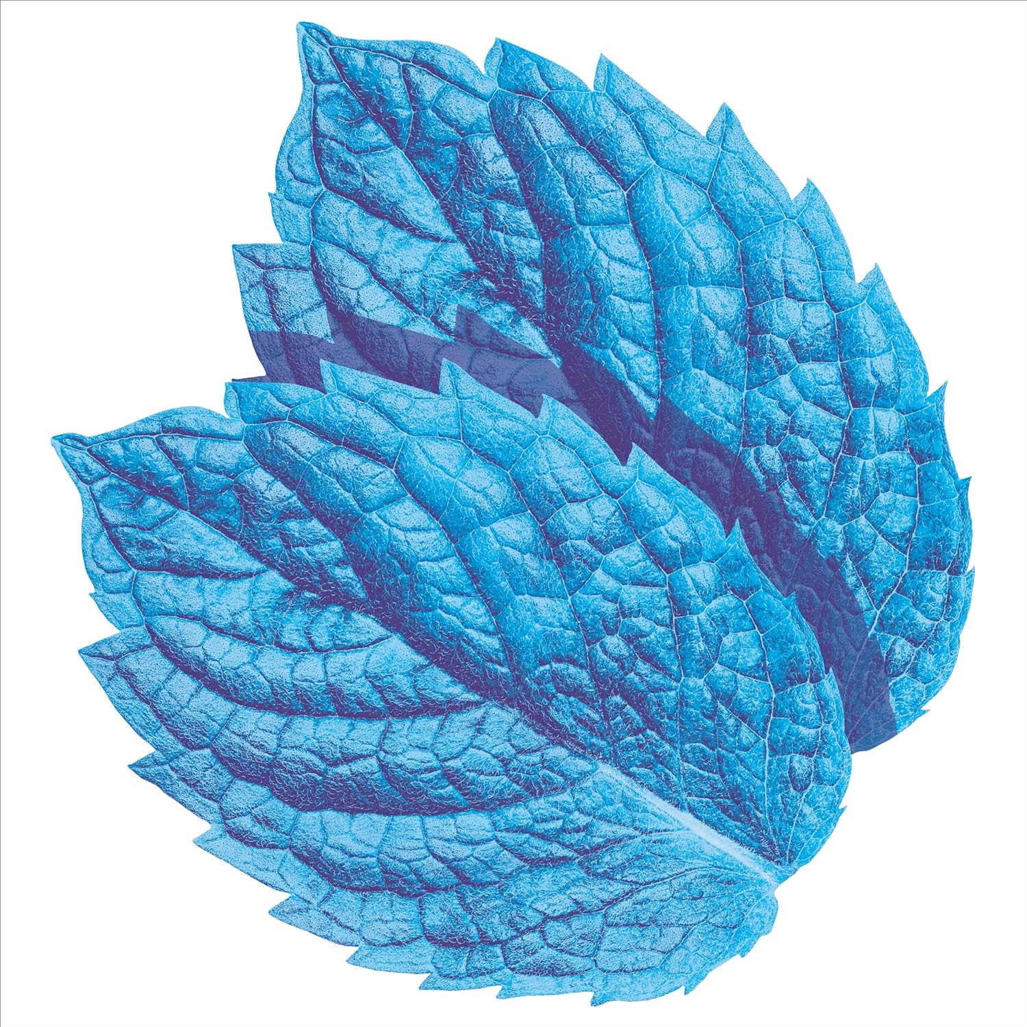 Extra White Peppermint Flavour Chewing Gum, 30 X 14G Packs image number 5