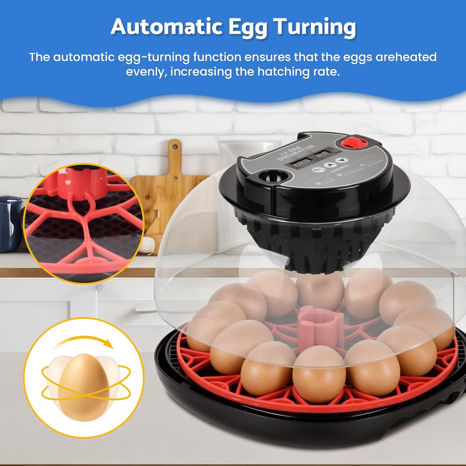 Advwin Incubators for Hatching Eggs, Automatic Egg Incubator with Temperature Control Humidity Display, 12 Egg Capacity for Chicken Duck Goose Eggs, Digital Display, Auto Turner, 360&deg; View image number 4