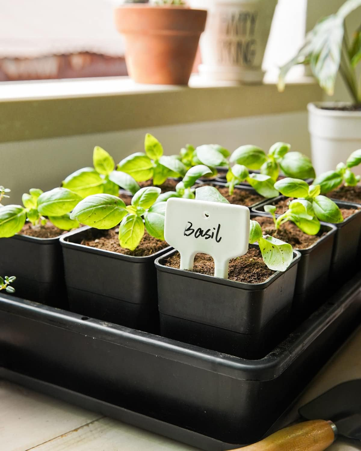 Plant Labels, Ceramic Garden Markers, Herbs Succulent Name Tags, Supplies for Seeding Pot Potted Plants Raised Bed, Indoor & Outdoor, Reusable Waterproof - Set of 12, White image number 1