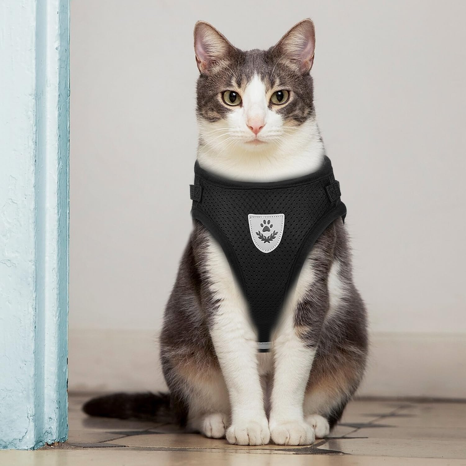 CUEMOON Dog Harness and Leash, Breathable Adjustable Harness, Reflective Harness for Puppies, Cats and Kittens (M)