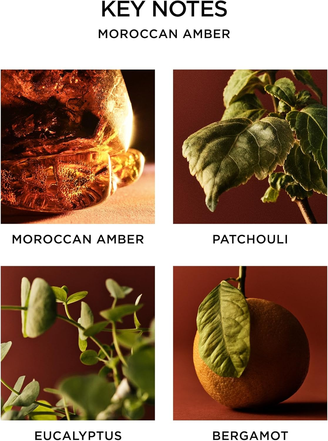 Nest Moroccan Amber Liquid Soap 10 Fl.Oz image number 3