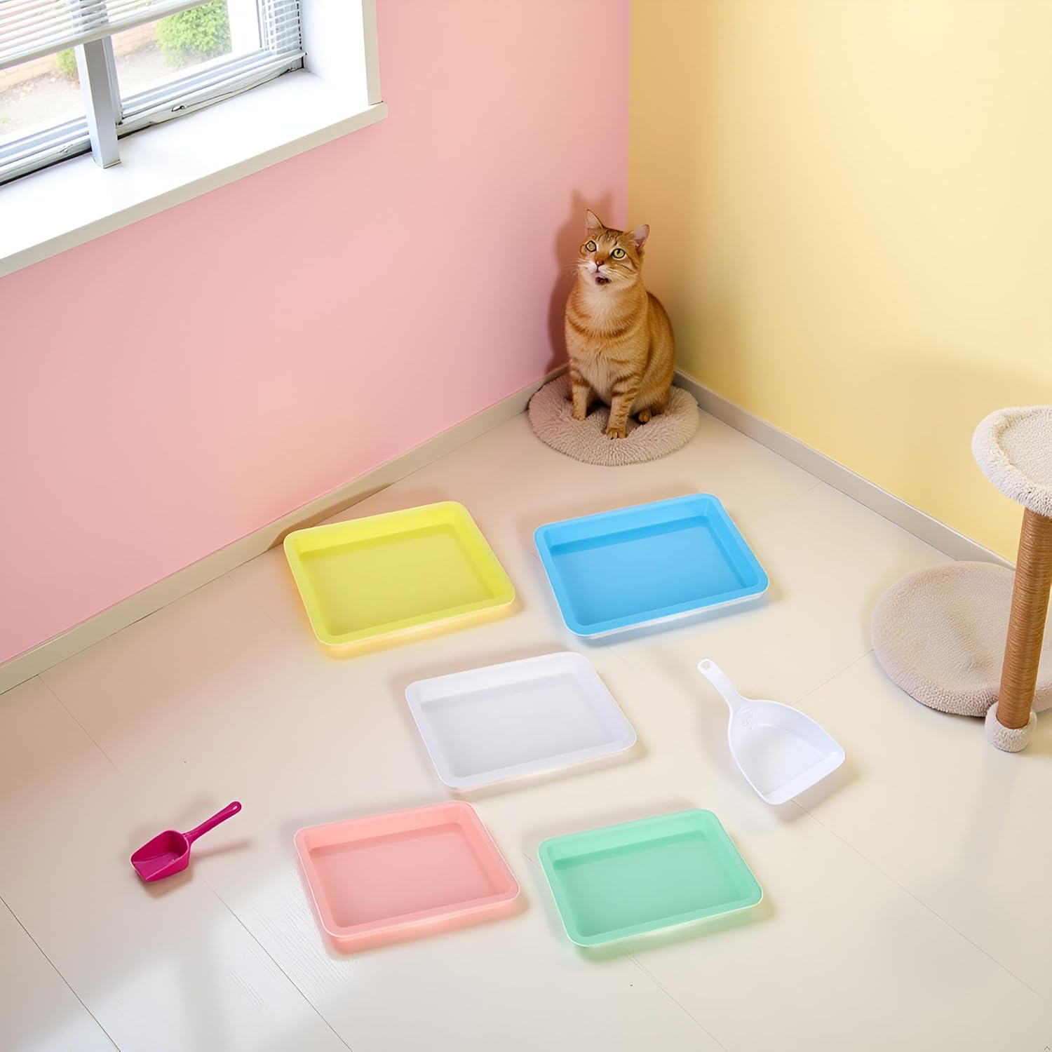 5 Pcs Plastic Kitten Litter Boxes Small Bunny Litter Box Open Cat Litter Box Pet Kitty Litter Pan Portable Cat Waste Tray for Indoor Cats, Standard Litter Boxes image number 1