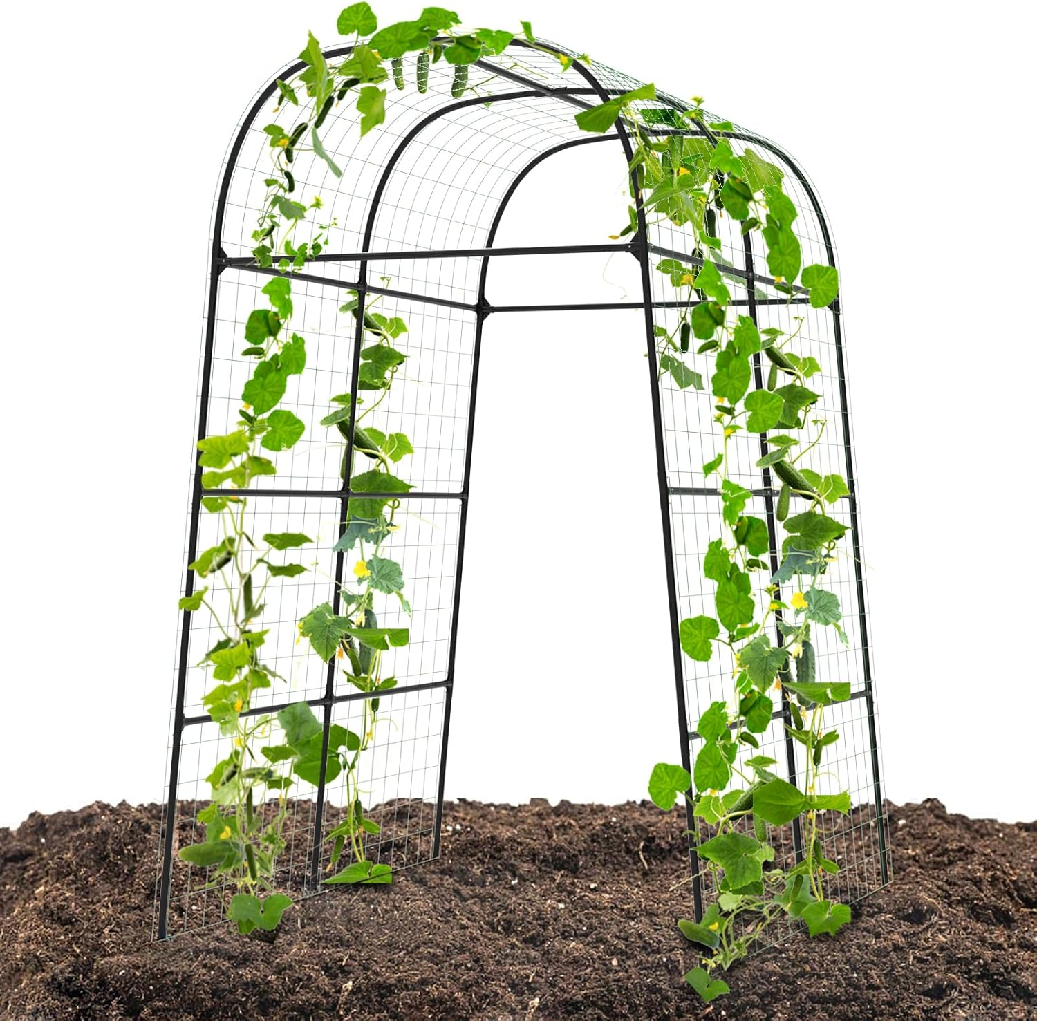 Garden Arch Trellis for Climbing Plants Outdoor - Cucumber Trellis for Raised Bed, Size:71 * 87 Inch, Garden Trellis for Climbing Plants, Cucumber, Vegetable, Tomato, Flowers image number 2