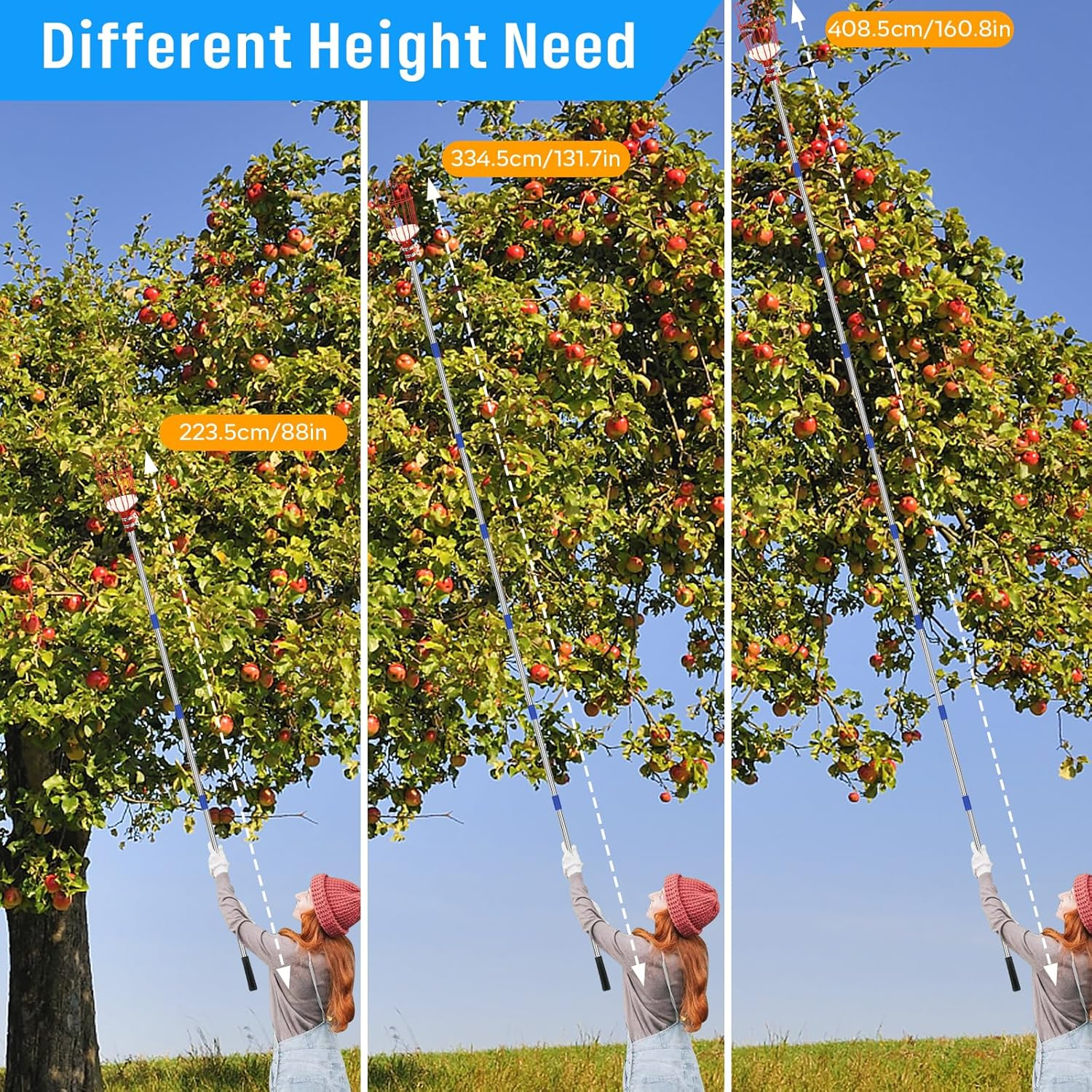 SANLIKE Fruit Picker Pole with Basket 13 FT Adjustable Higher Lightweight Fruit Grabber Tool with Extension Pole for Apple Avocado Lemon Peach Pear Mango and Other Fruit Tree Harvester image number 4