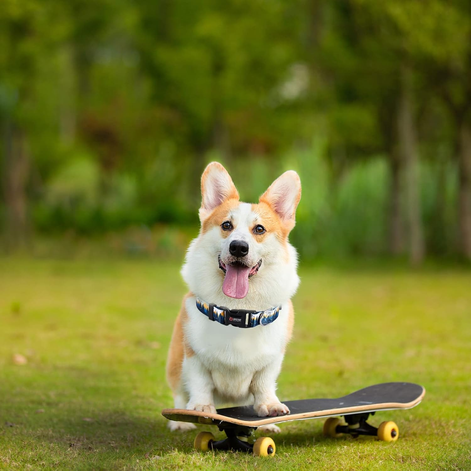 Dog Collar, Pet Collars, Super Soft Nylon Puppy Collar, Adjustable Scatter Collars for Puppies, Adjustable Nylon Collar (A)