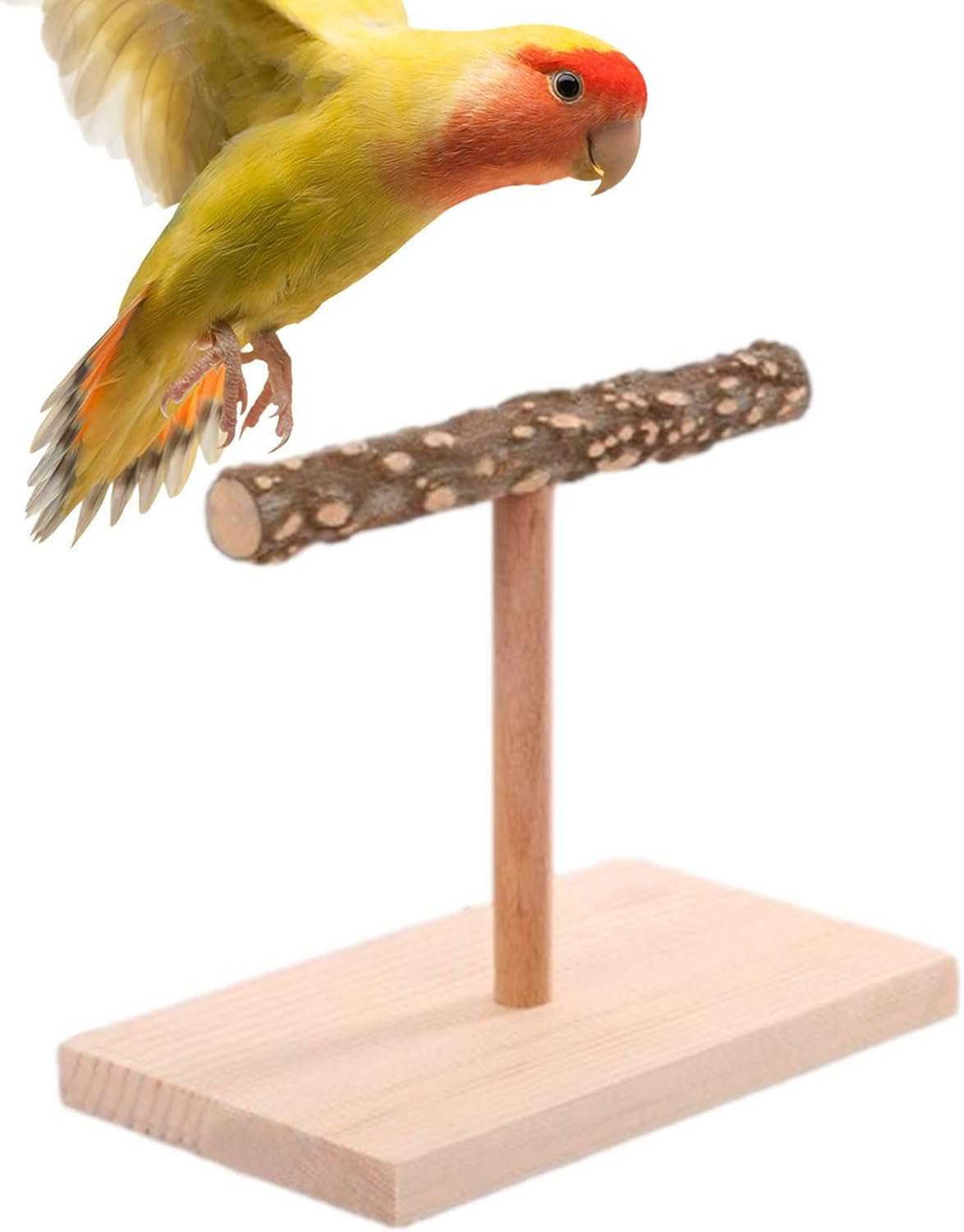Bird Stand - Endable Bird Platform T Shape, Games Training Station, Pet Training Rack, Tabletop Parrot Toy | Bird Stand with Sturdy Handle for Cockatiel Macaw Tiger Indoor image number 7