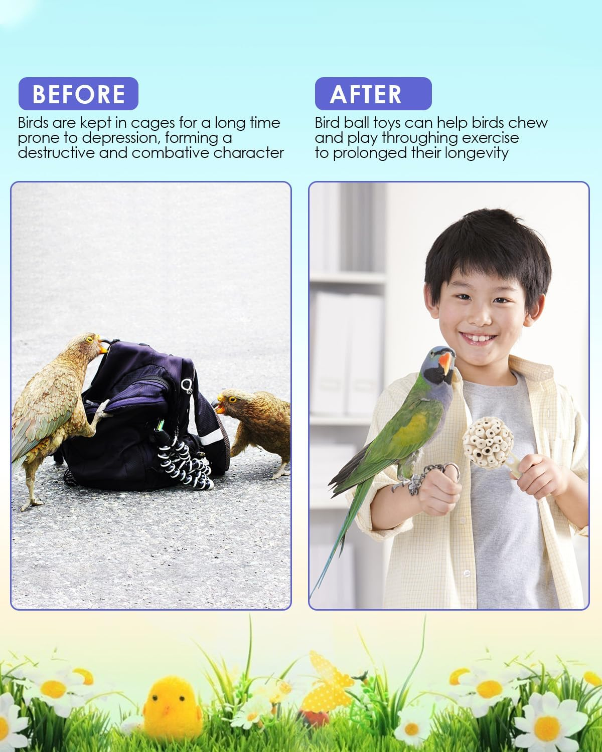 Bissap 7PCS Small Parrot Toys, Natural Sola Balls Bark Sticks Chew Forage Toy Bird Foot Balls for Cockatiels Conures Cockatoos Parakeets Love Birds Budgie Finch Cage Bite Toys image number 2