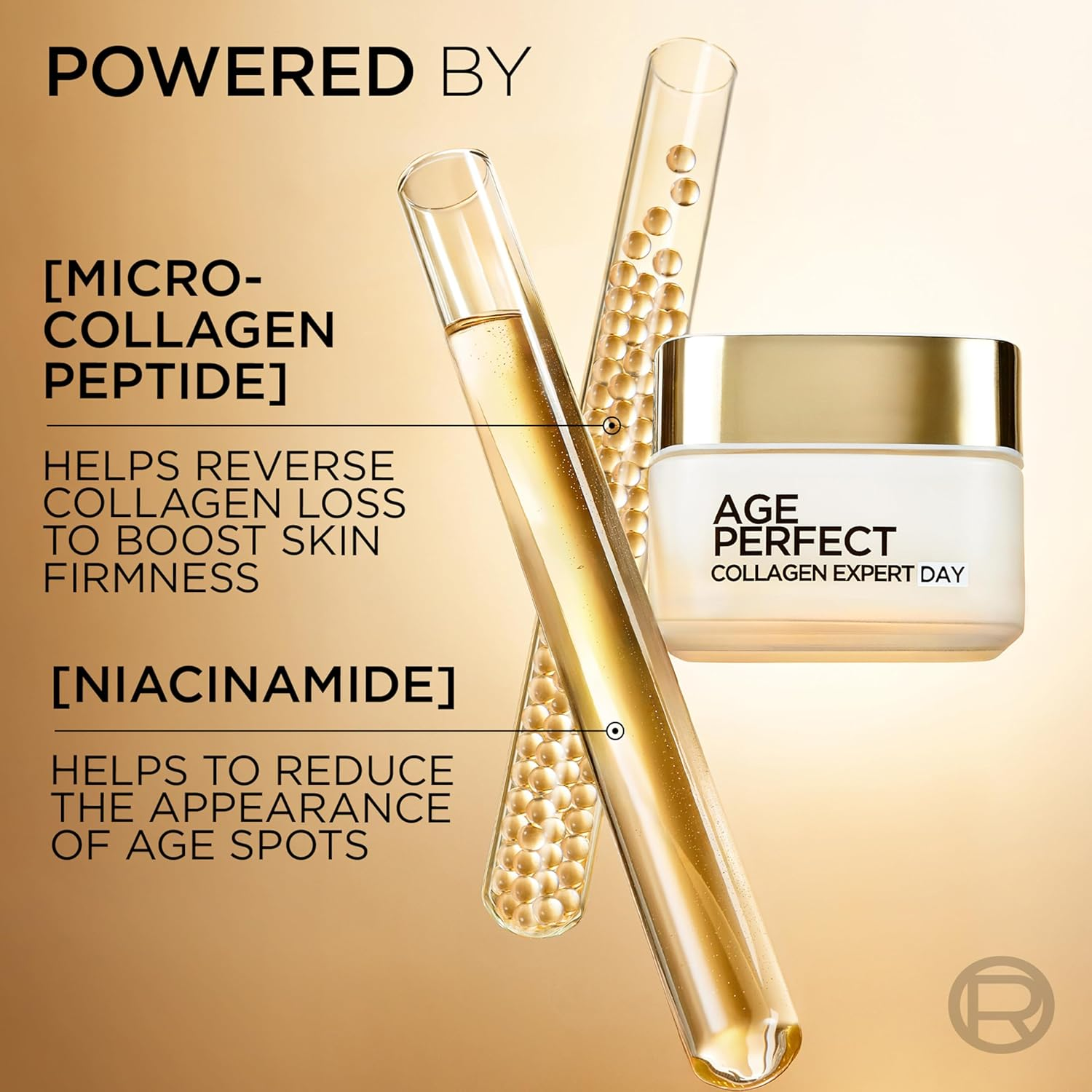 L'Or&eacute;al Paris Age Perfect Day Cream 50Ml image number 4